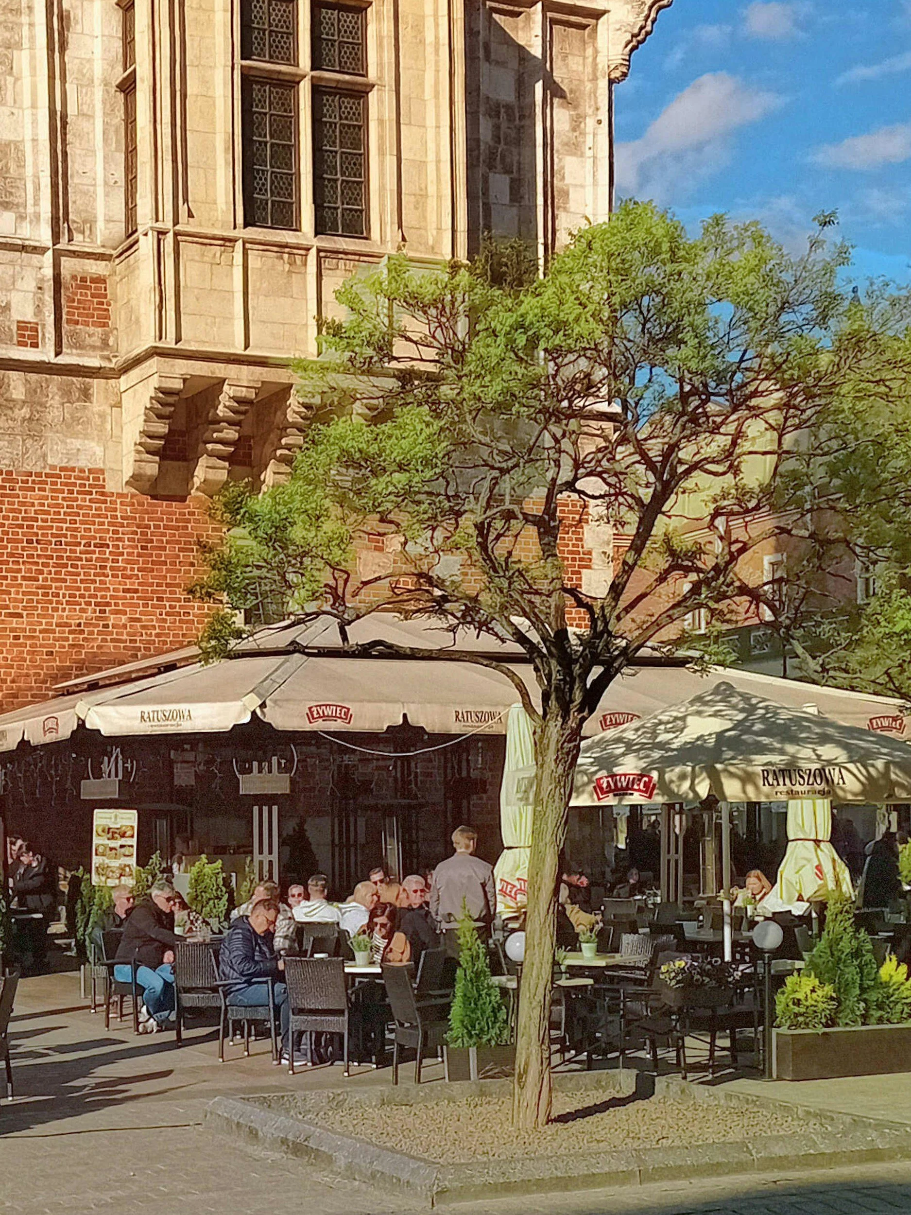 krakow cafe