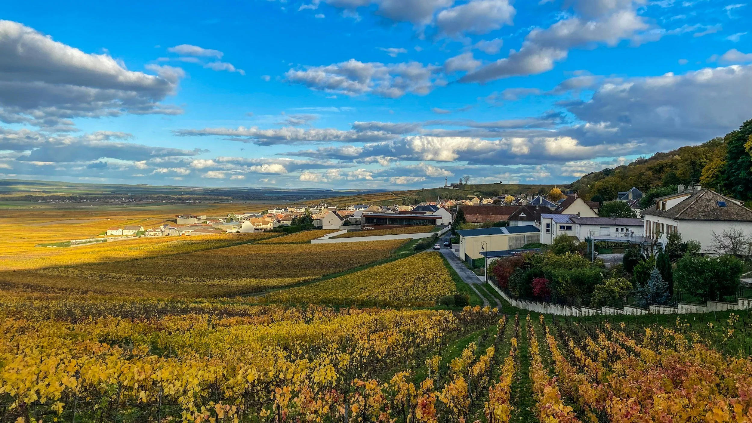 View Verzenay