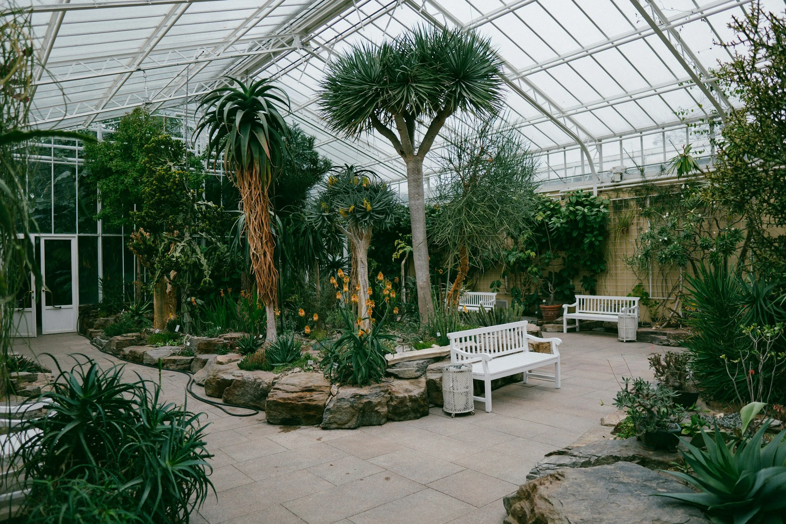 botanical garden