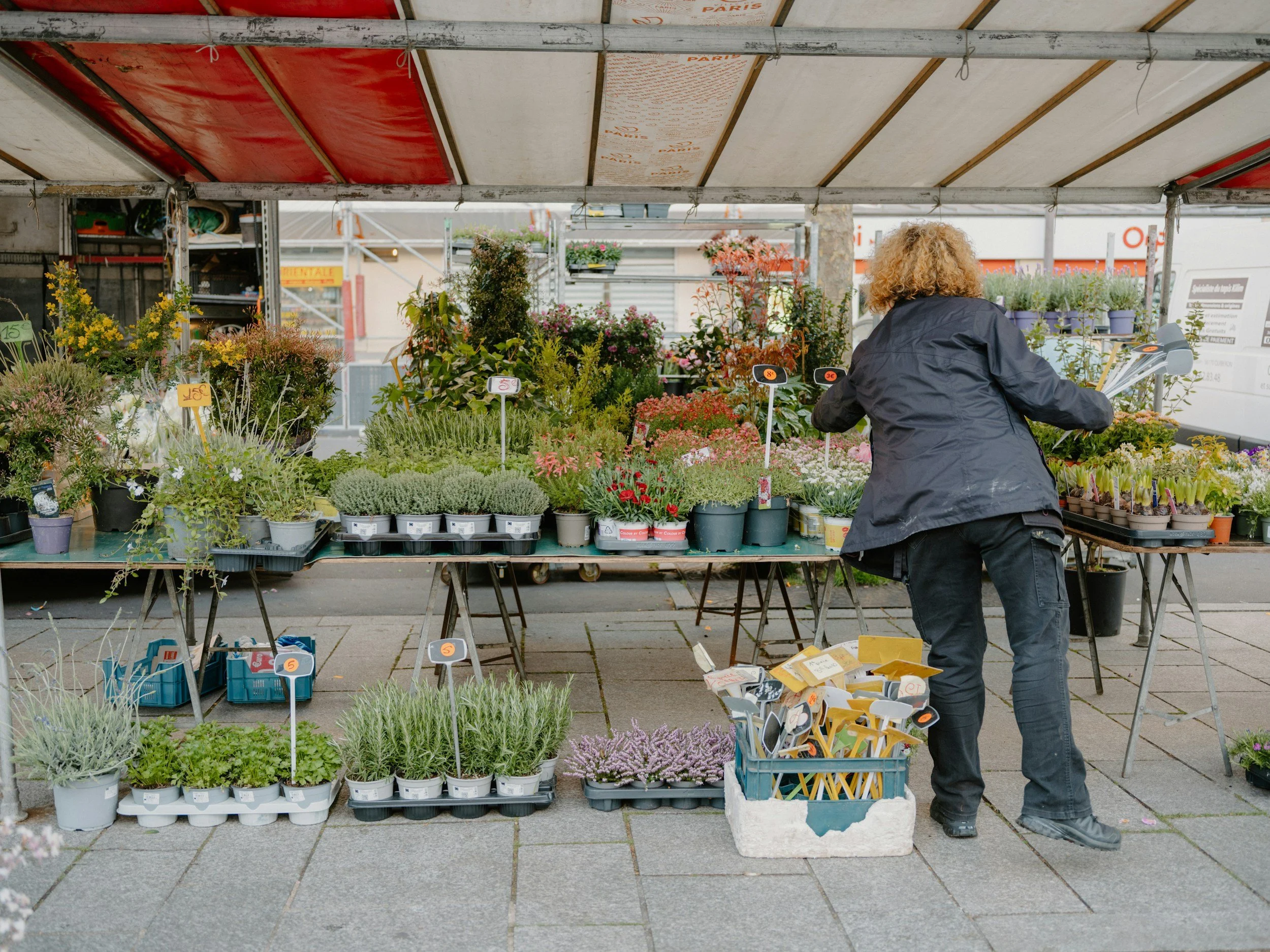 flowrrs market
