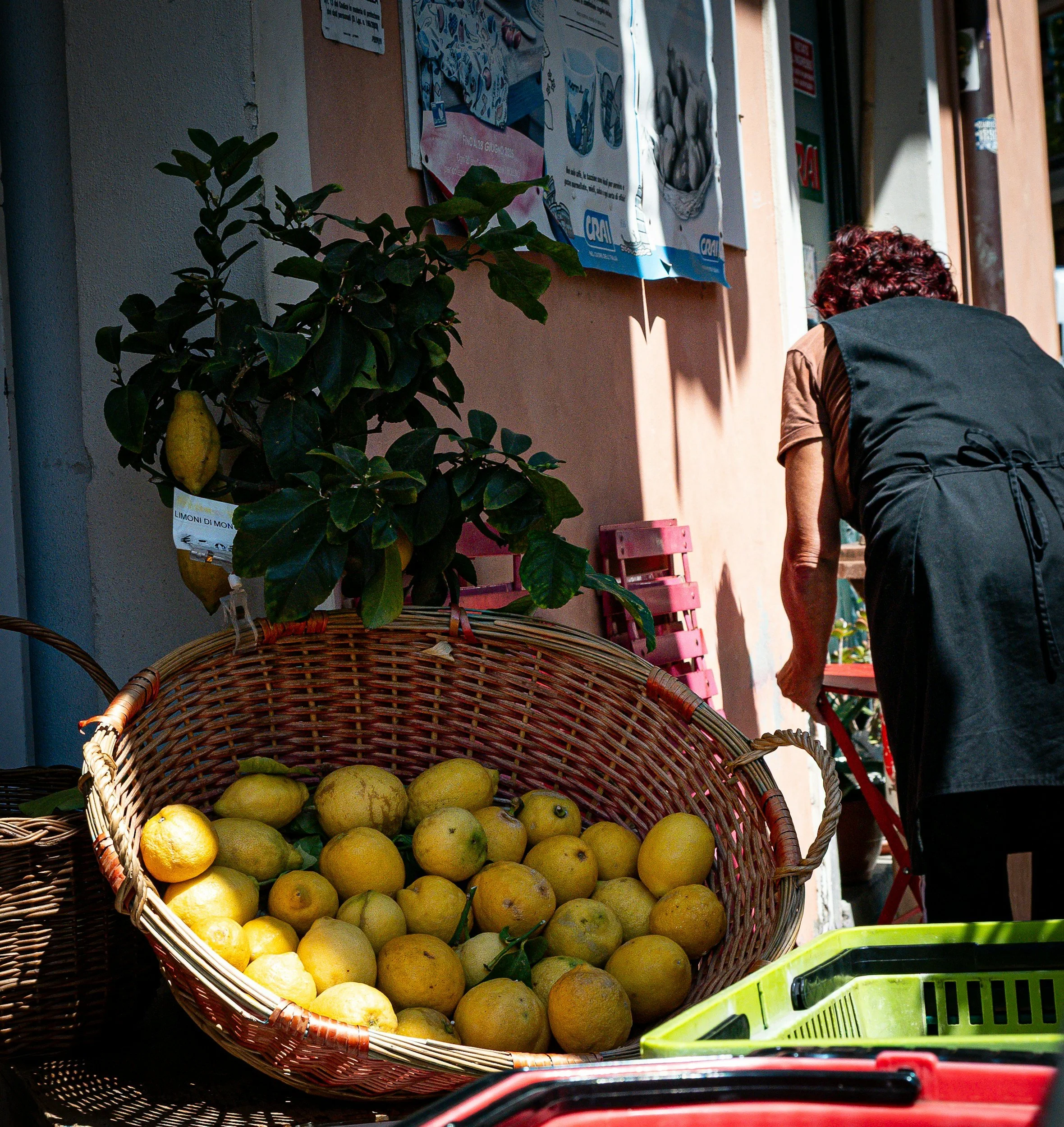 lemons