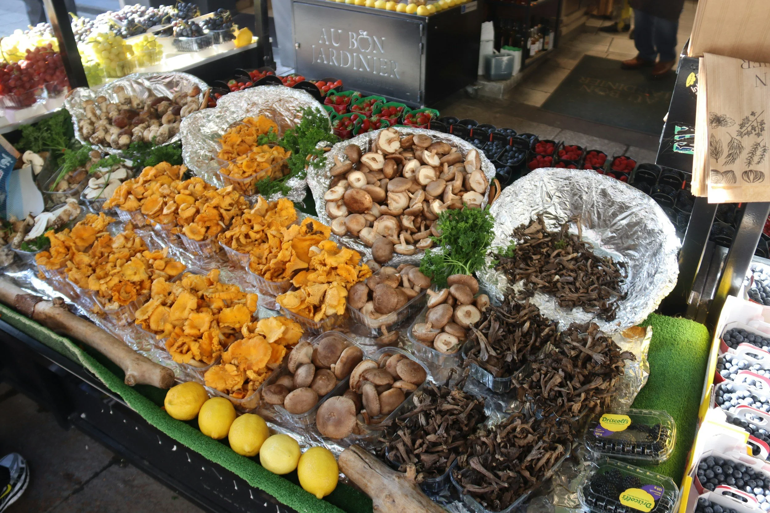 mushrooms at Uzès Market Days