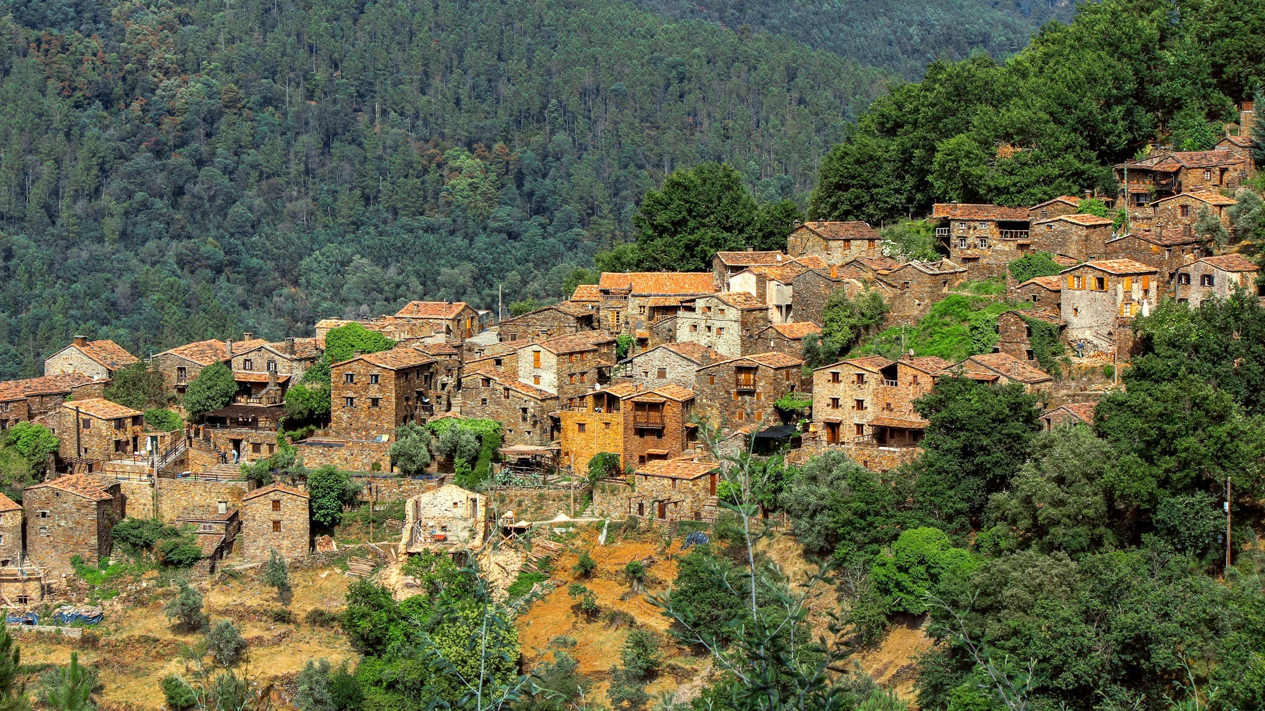 tolosa