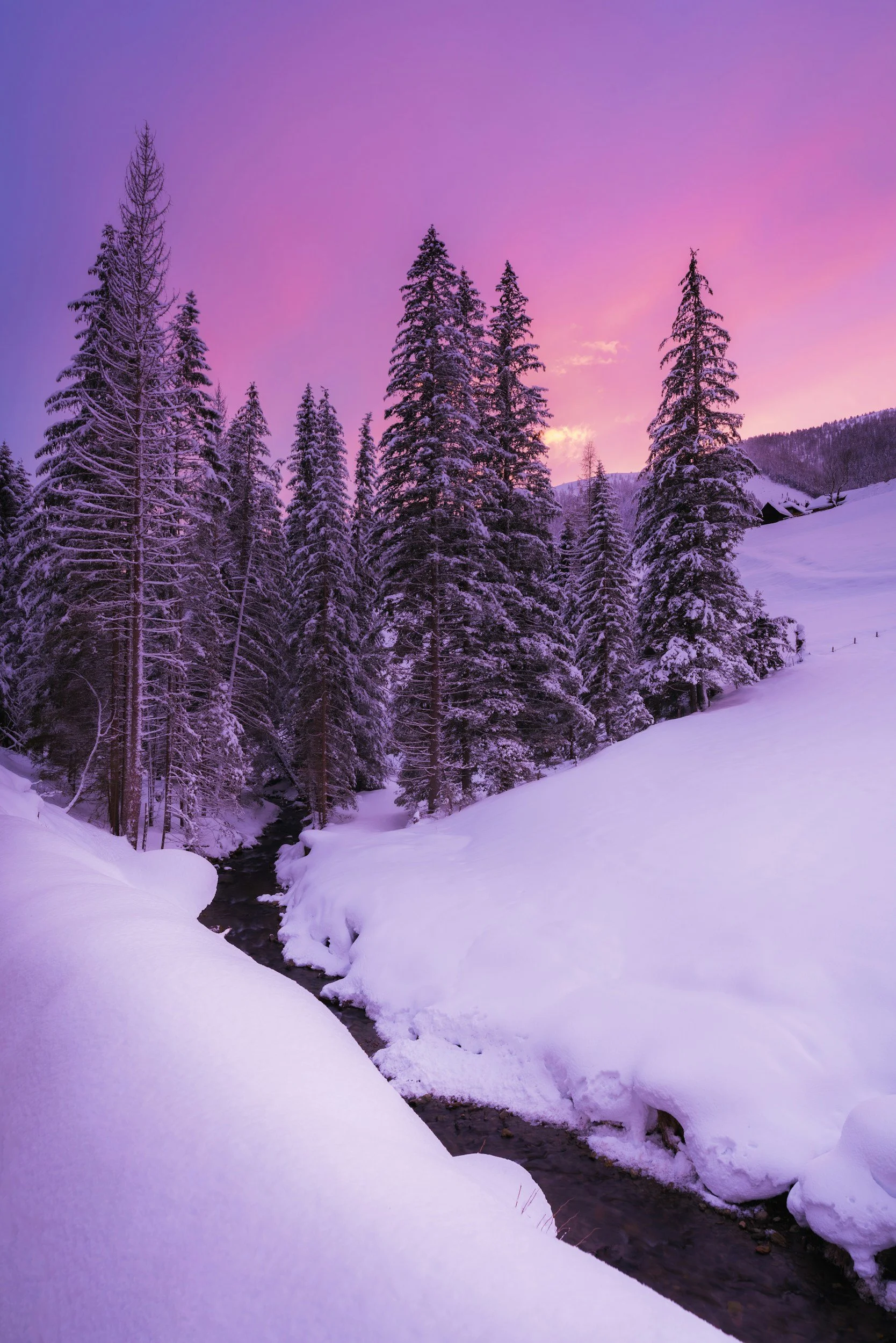 bohemian forest winter
