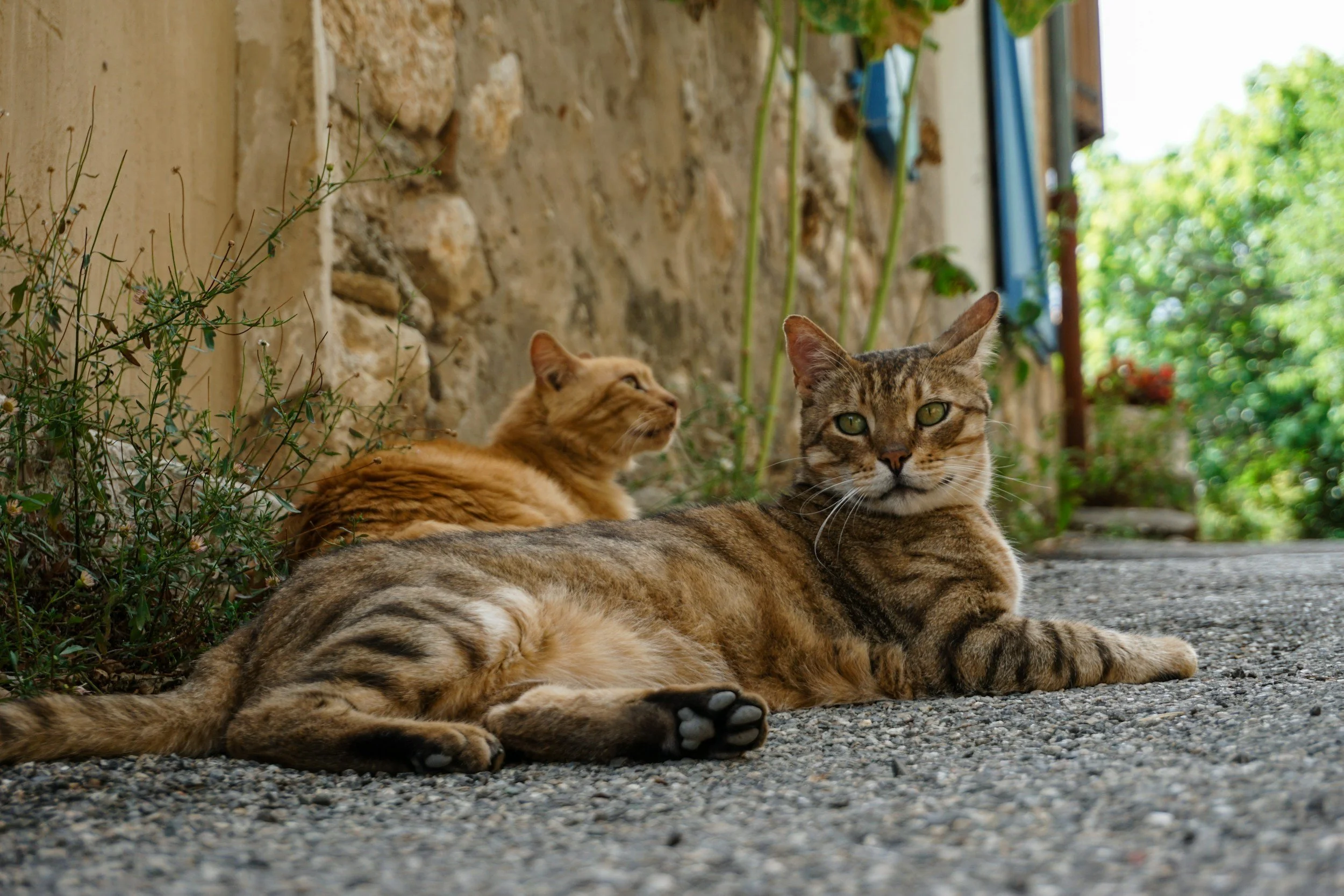 Moustiers-Sainte-Marie