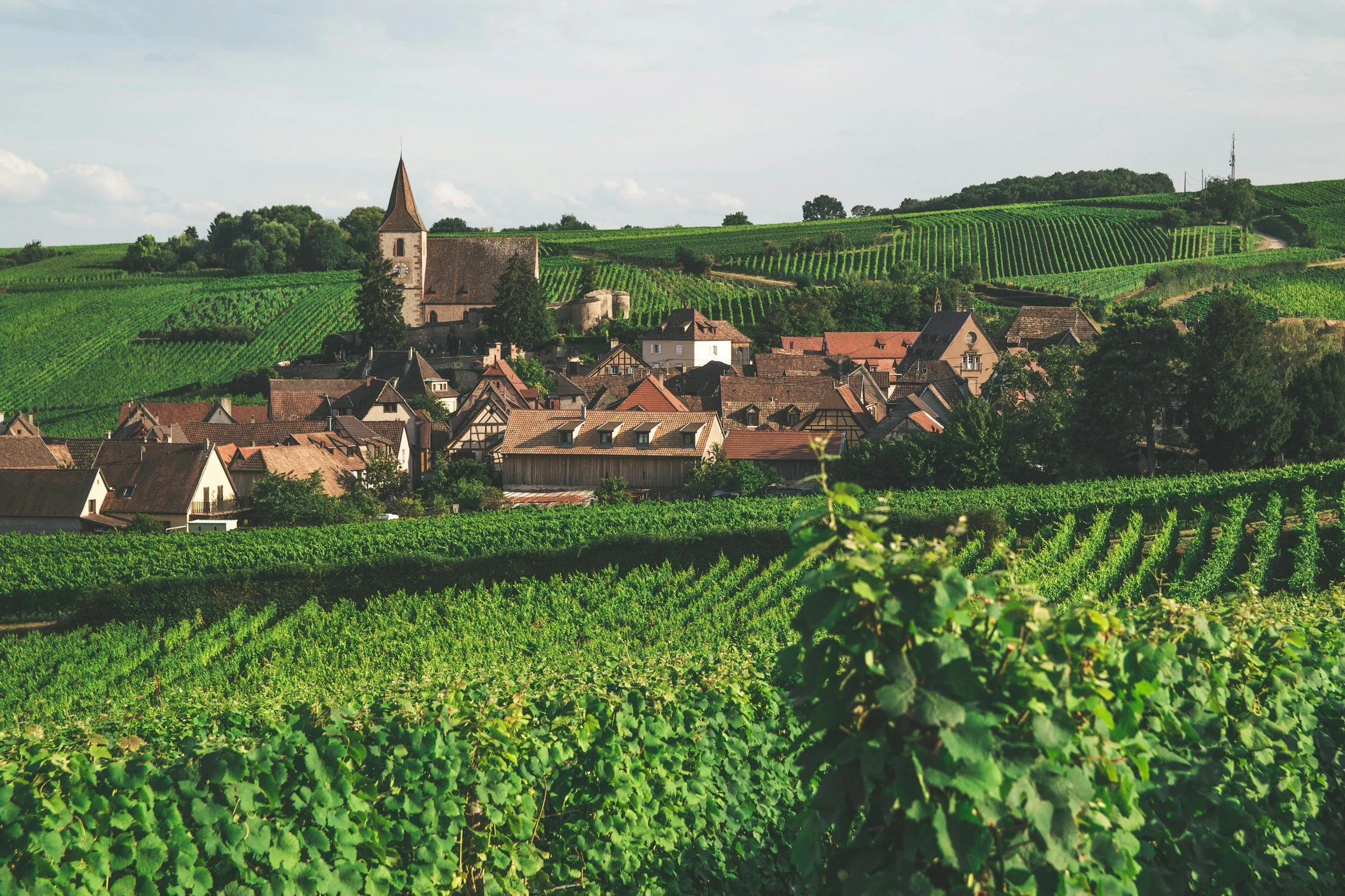 The best wine regions in northern and central France to explore by train