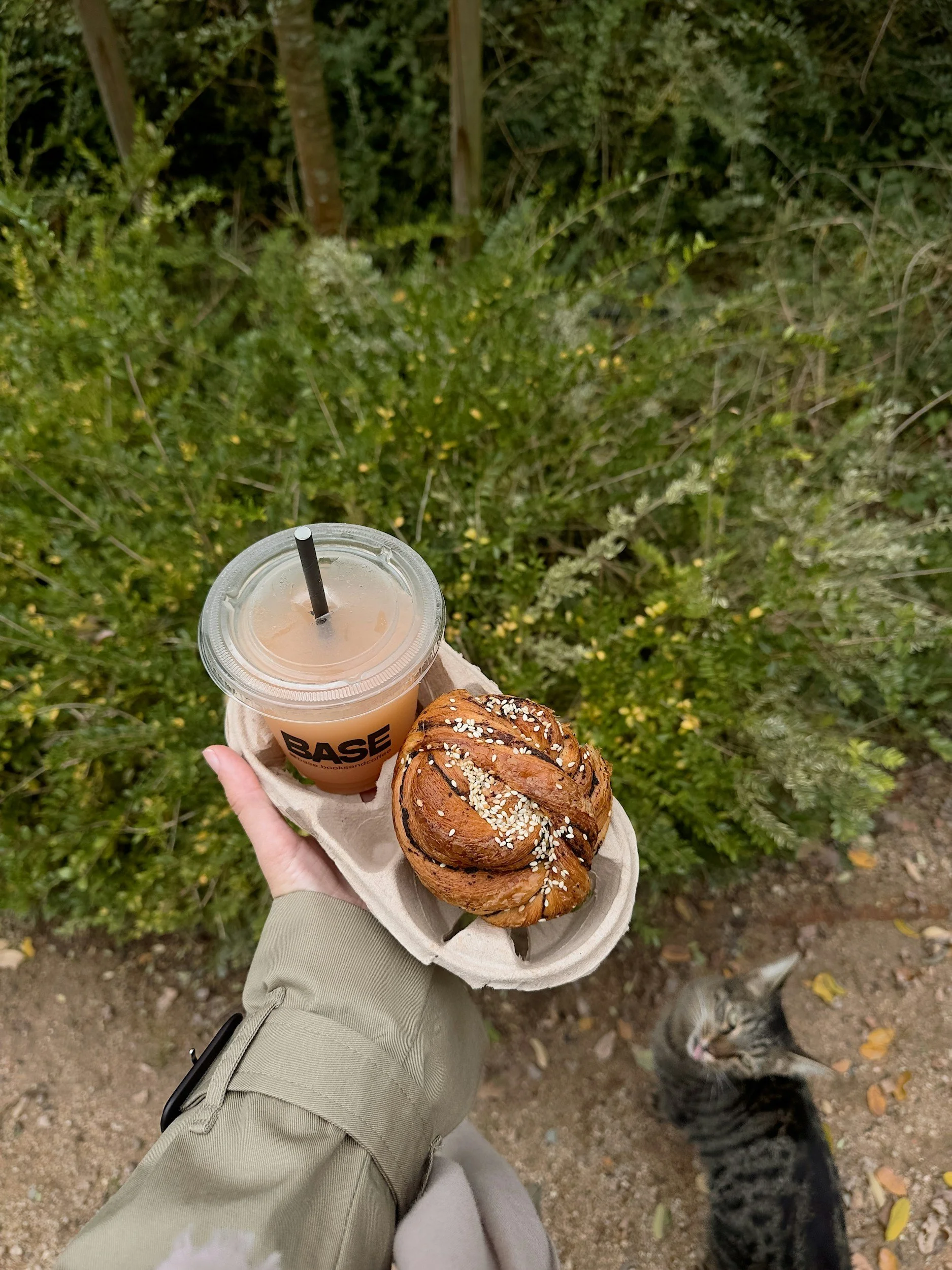 Why I'd save Scandinavia for autumn