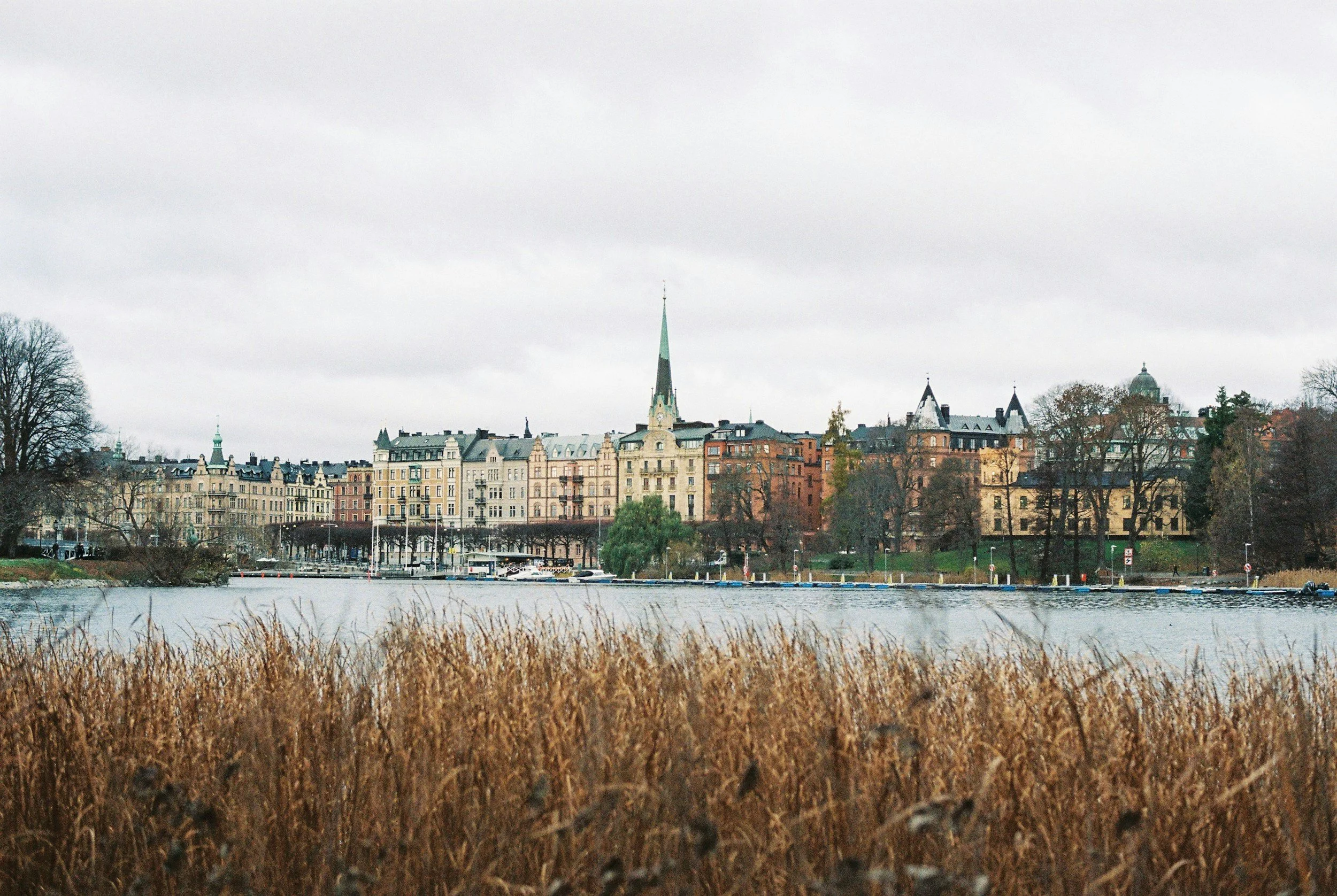 Umeå, Sweden: the small northern city I’d actually recommend for a weekend