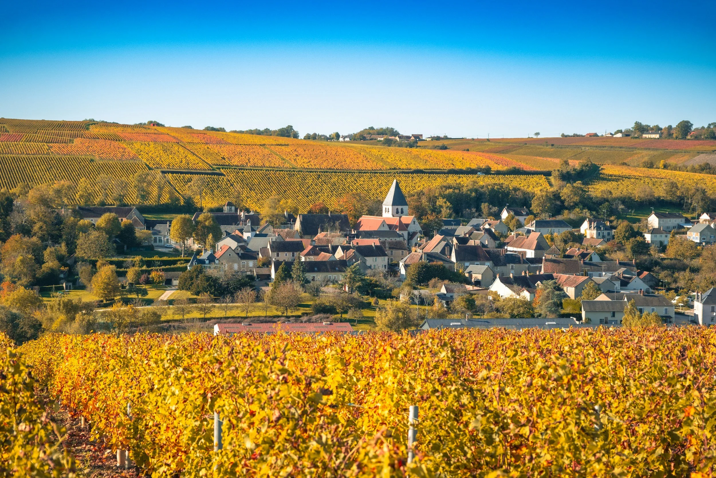 How to visit Champagne, France without a car (train travel guide)