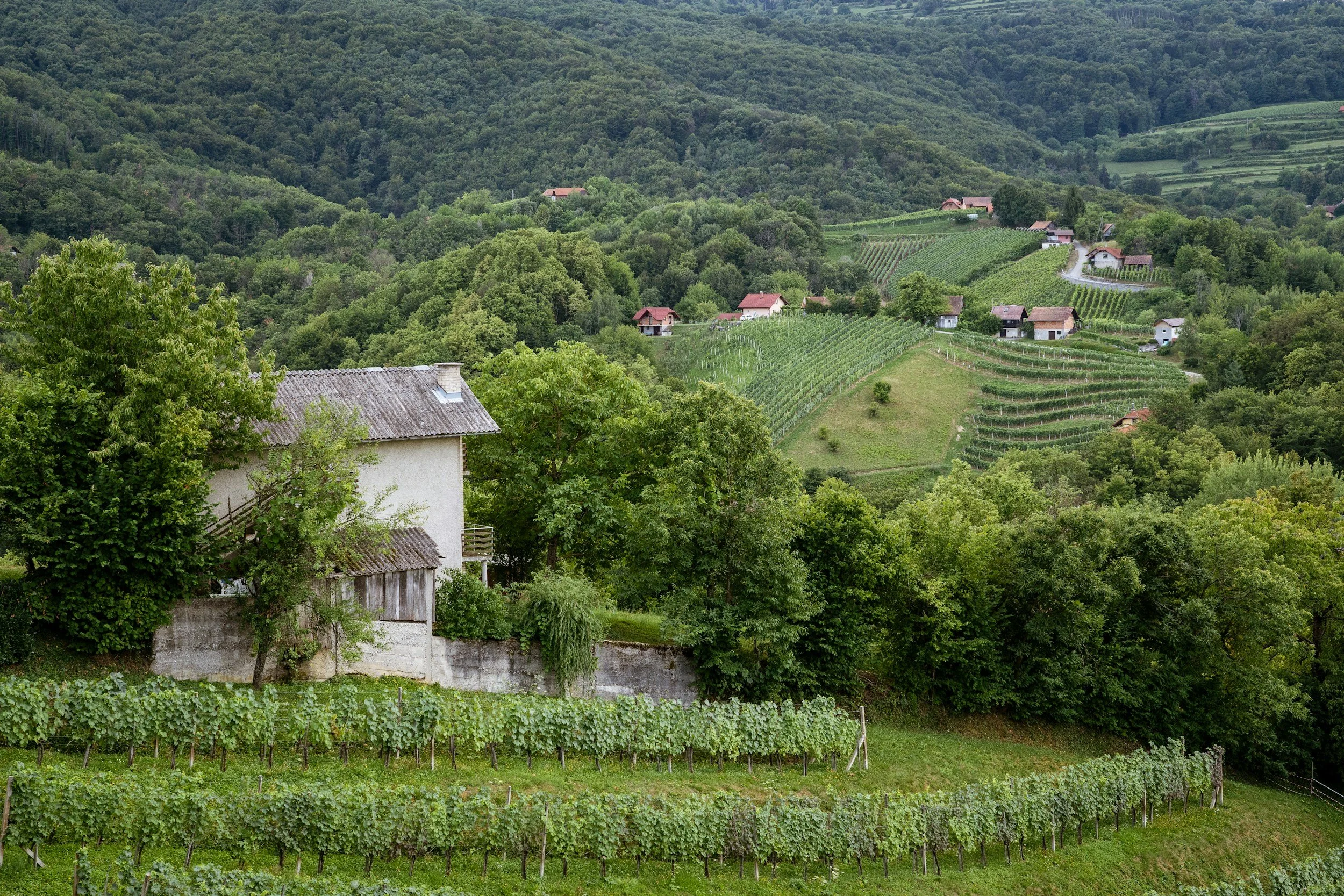 Before you book Tuscany, take a look at Slovenia's Vipava Valley