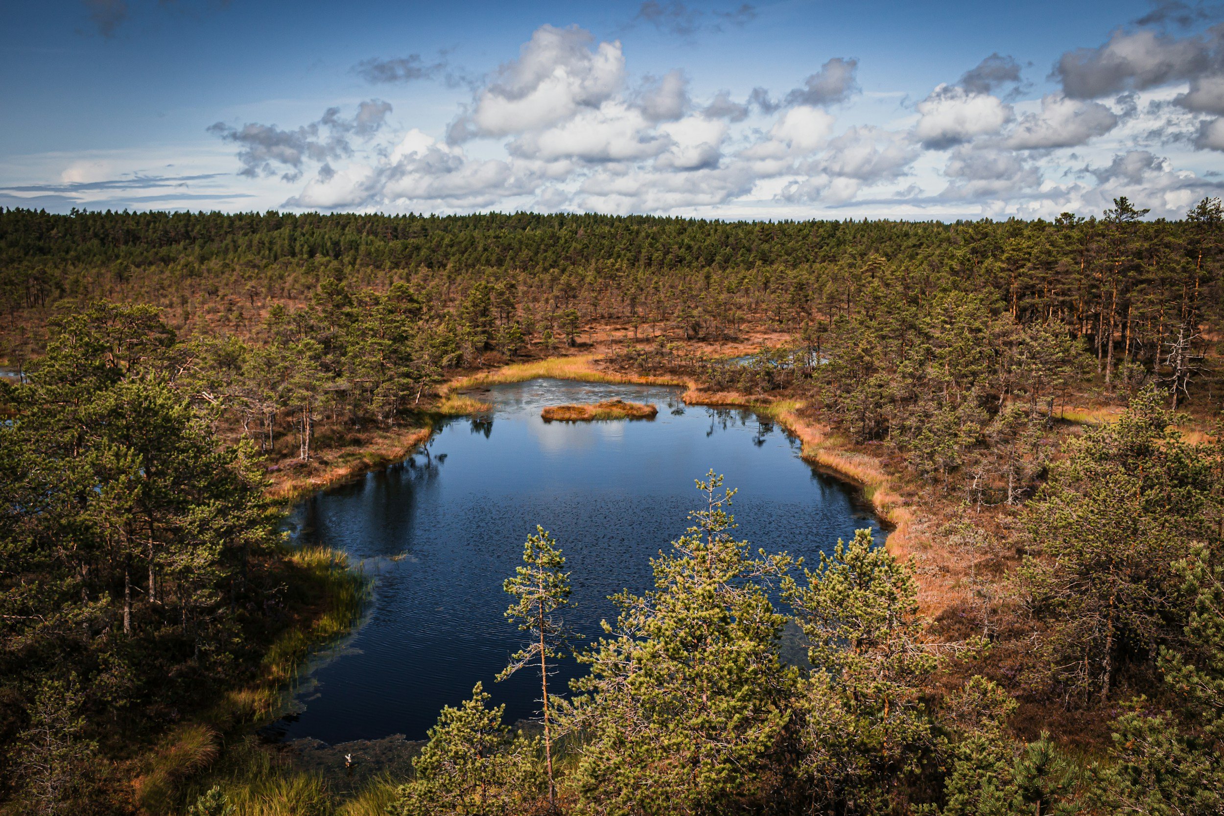 If Estonia surprises you anywhere, it'll probably be Lahemaa