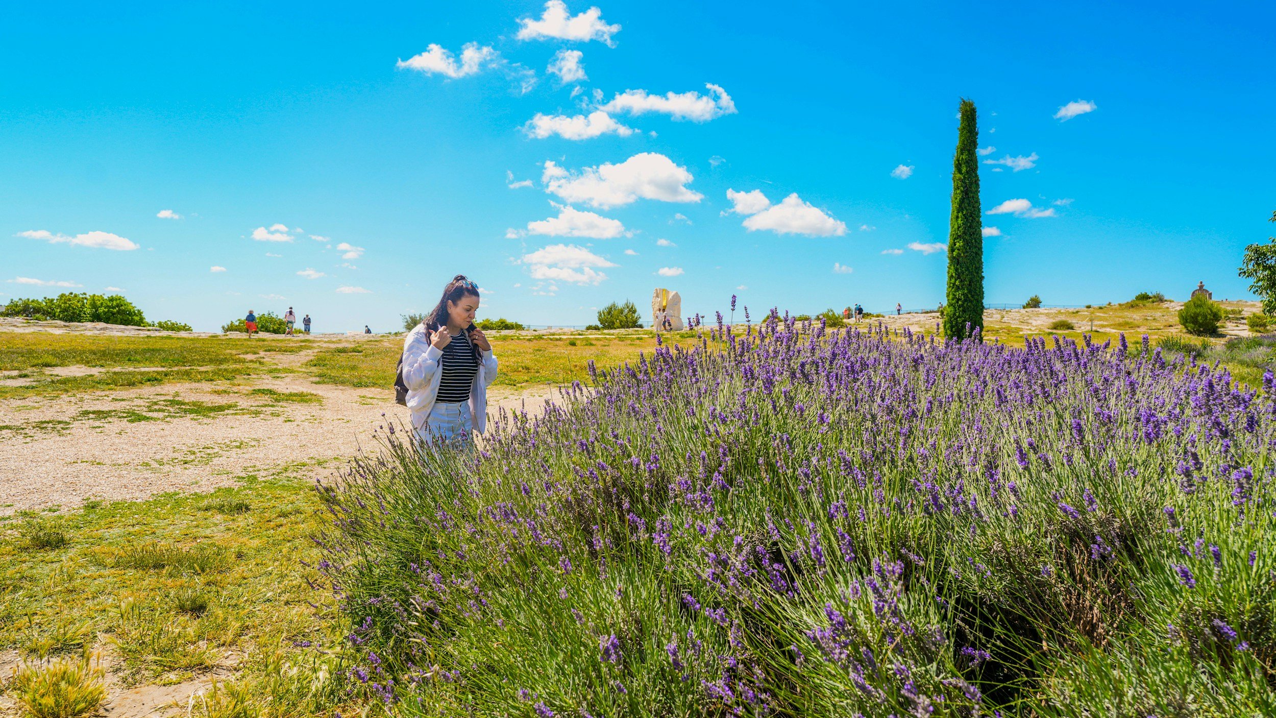 You don't have to stand in a queue to see lavender in Provence
