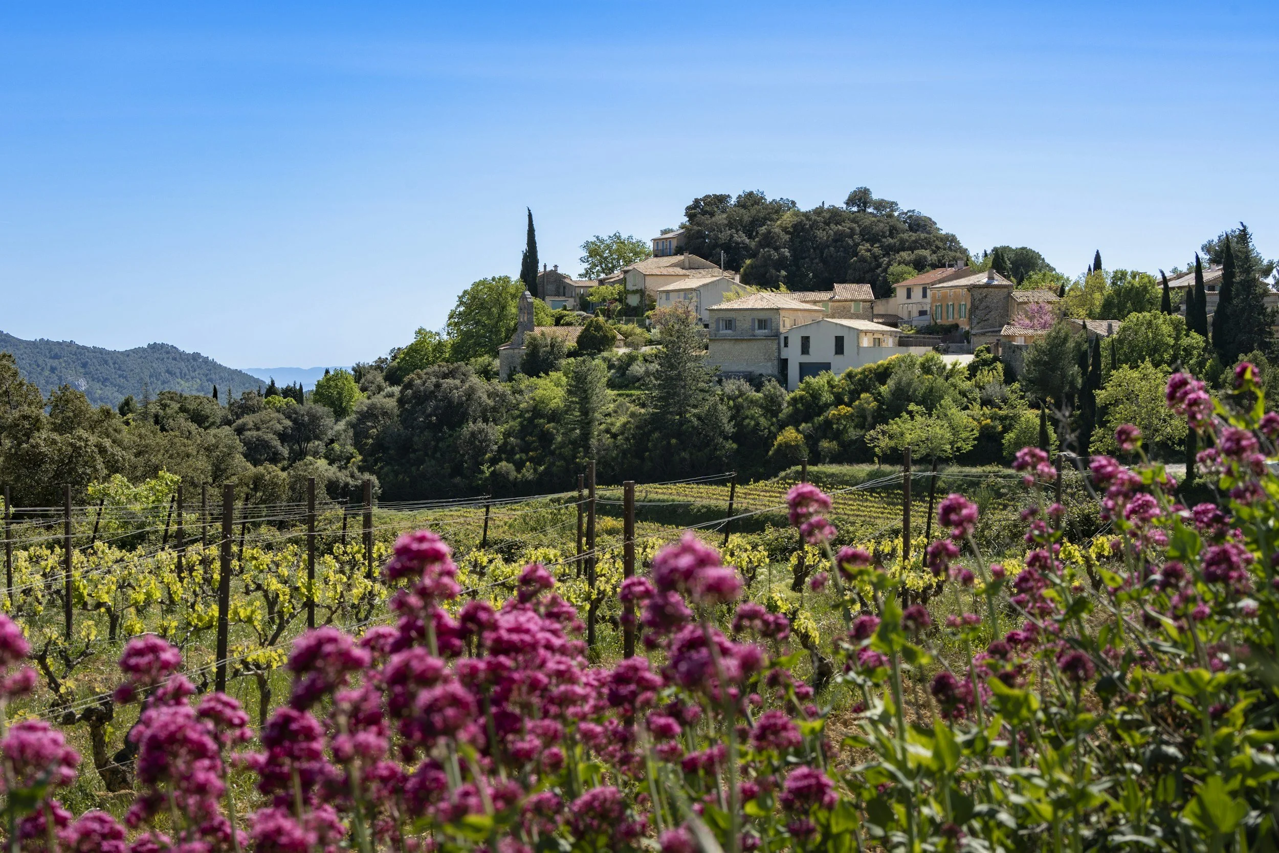April might be Provence's most underrated month