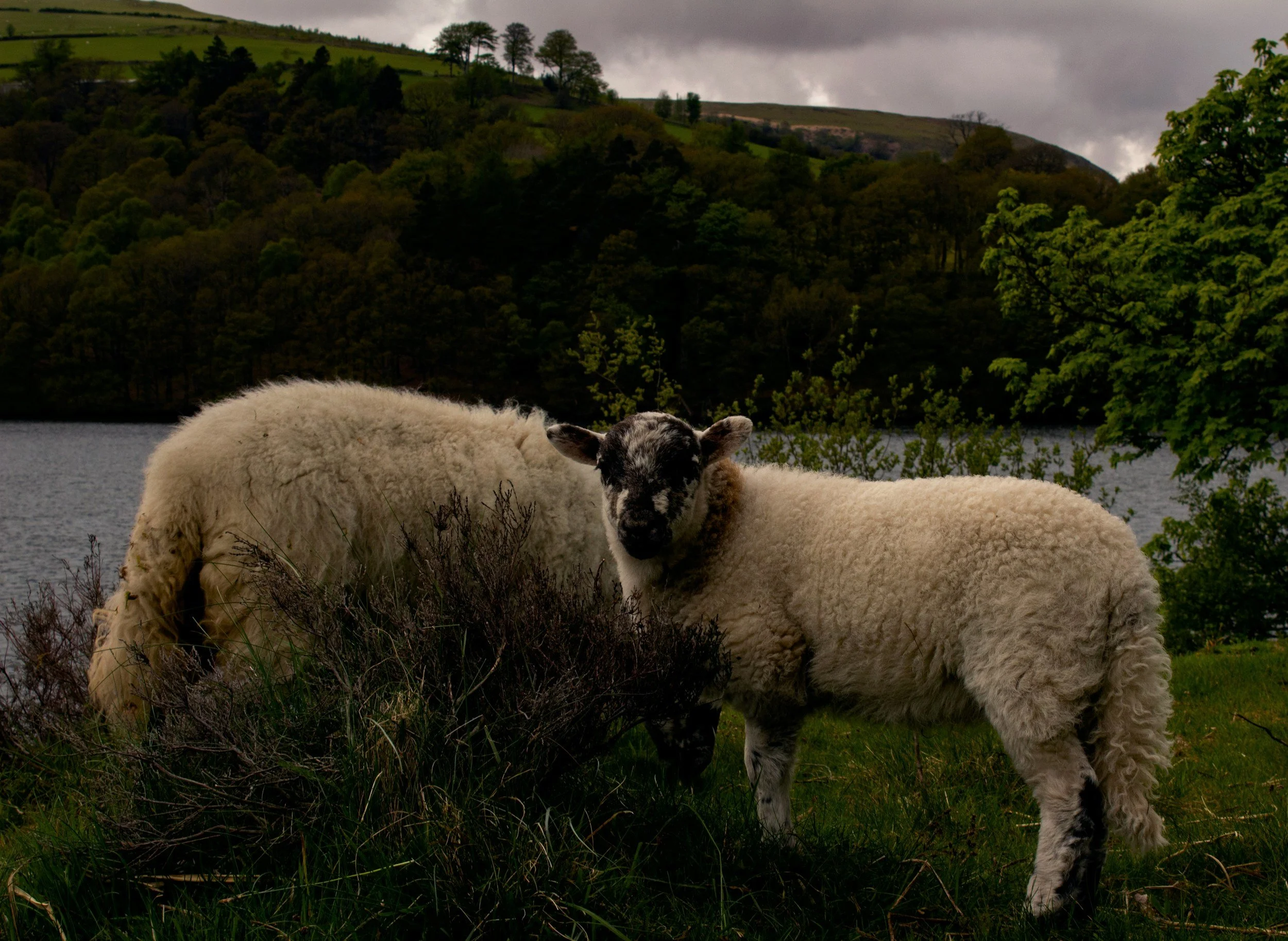 Mid Wales is the part of Wales I'd keep coming back to