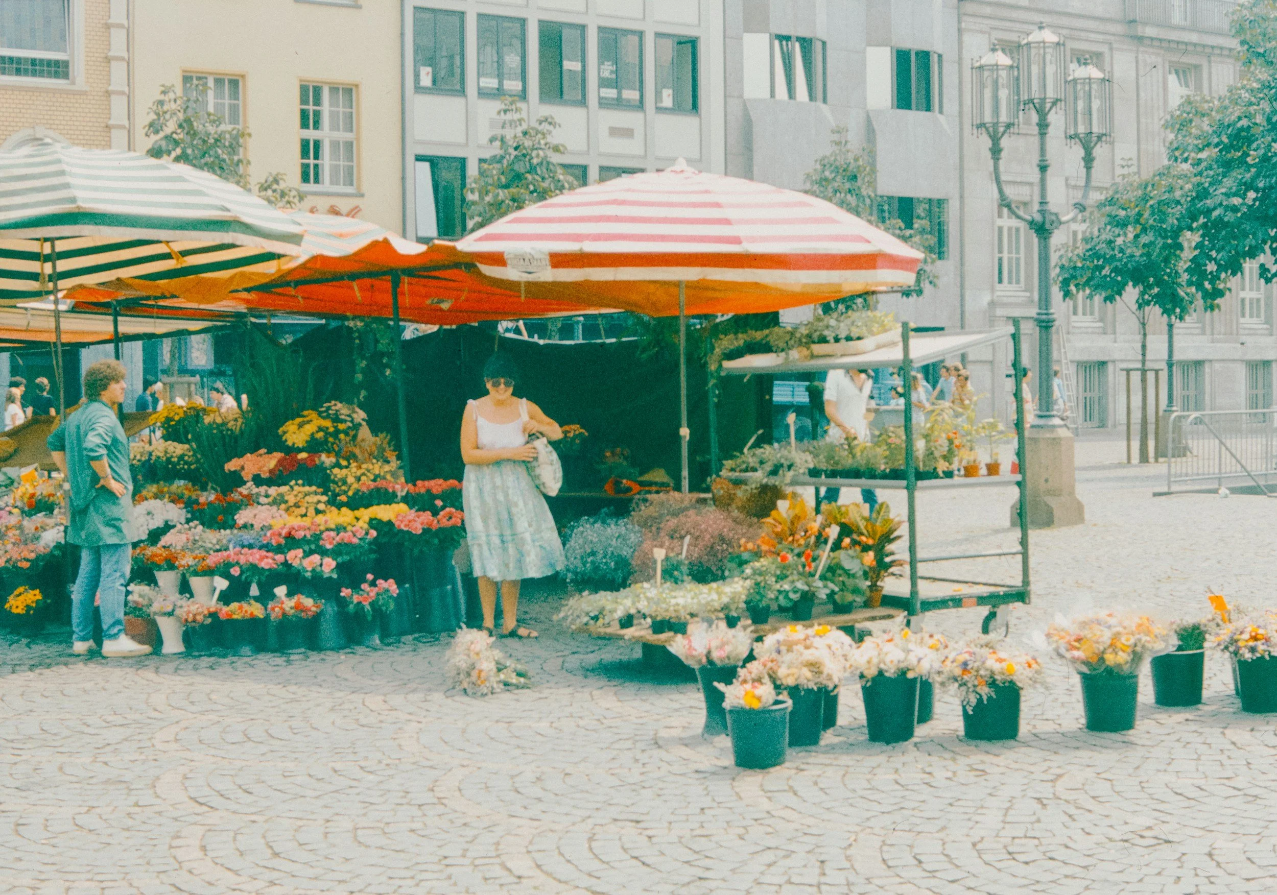 Going to Nyons market in May? Read this first.