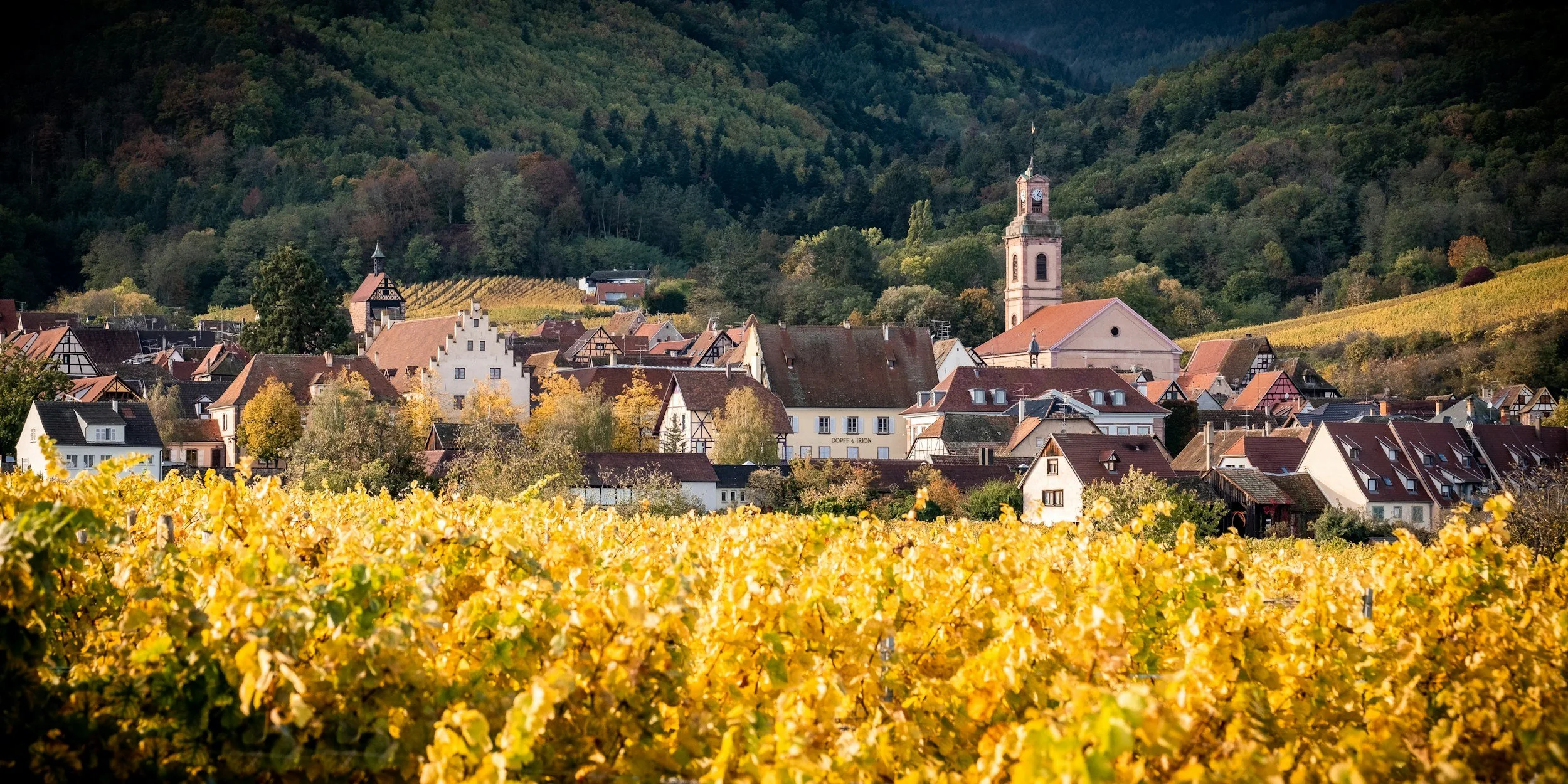 Where should you stay in Alsace if you are relying on trains and buses?