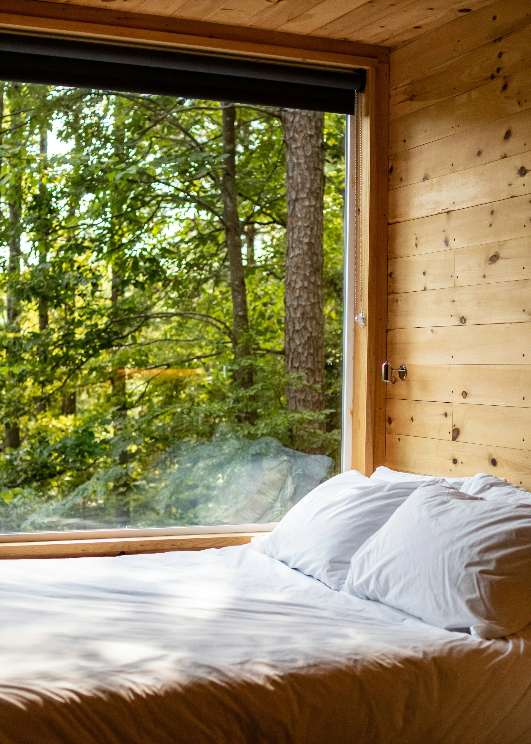 These are the hotels where I'd leave the curtains open all night