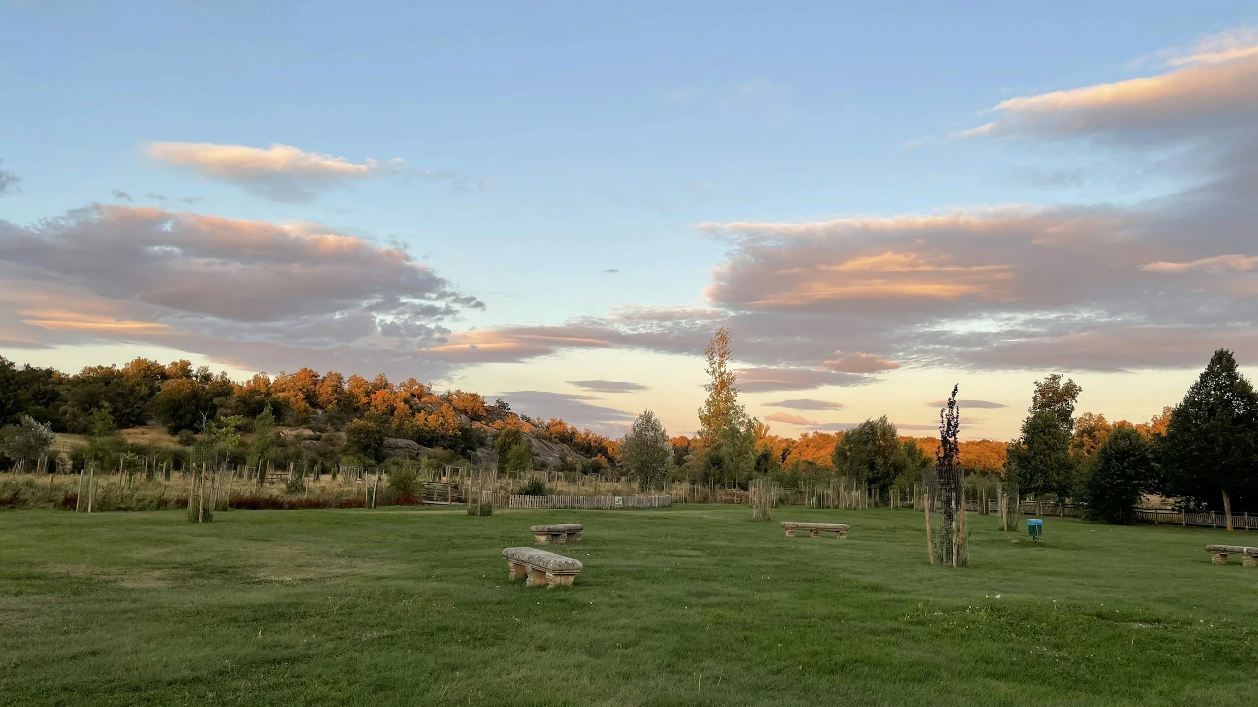 Is Soria worth visiting? Spain's least-visited province has a lot to offer