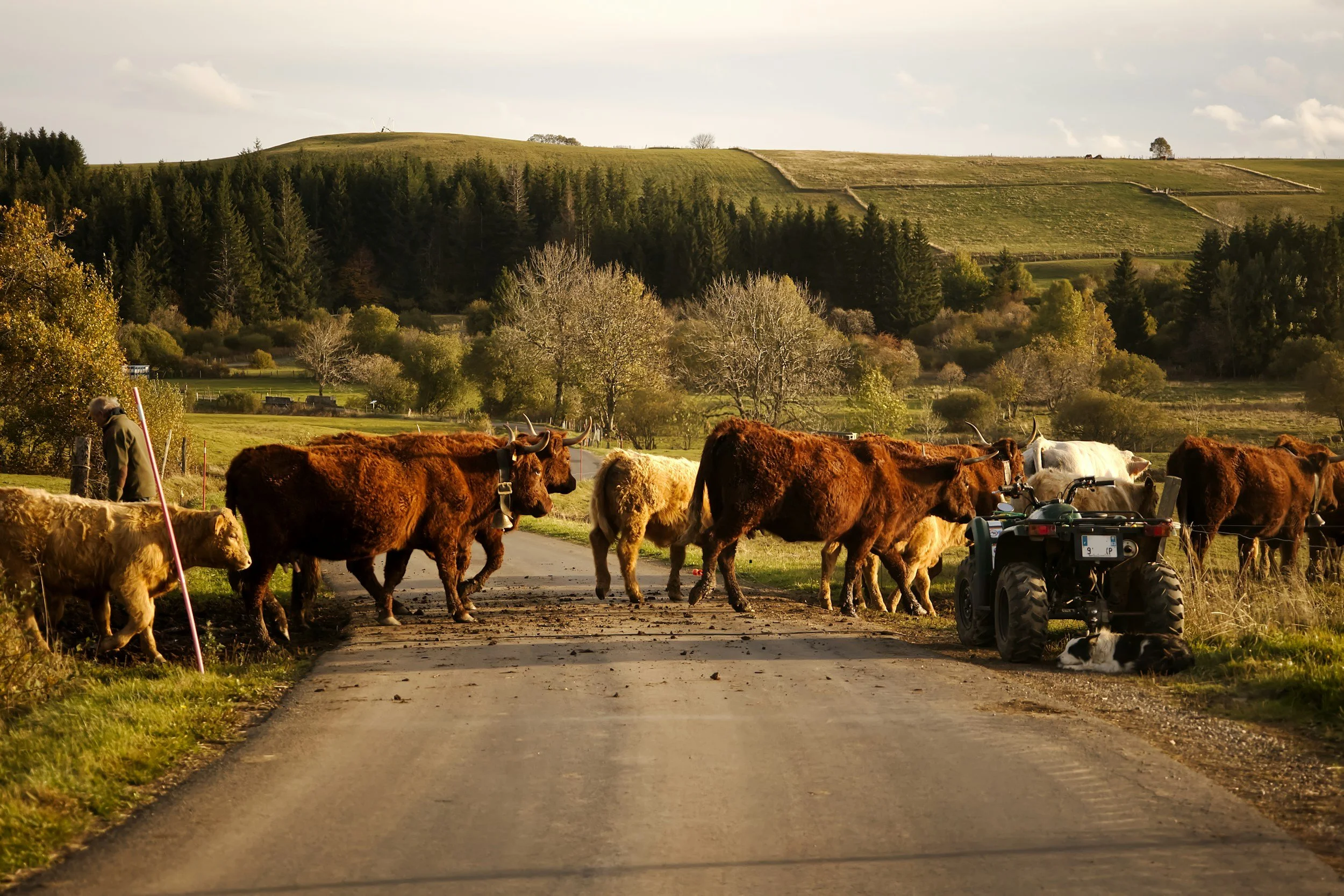 Looking for quiet France? Start in Auvergne and Limousin