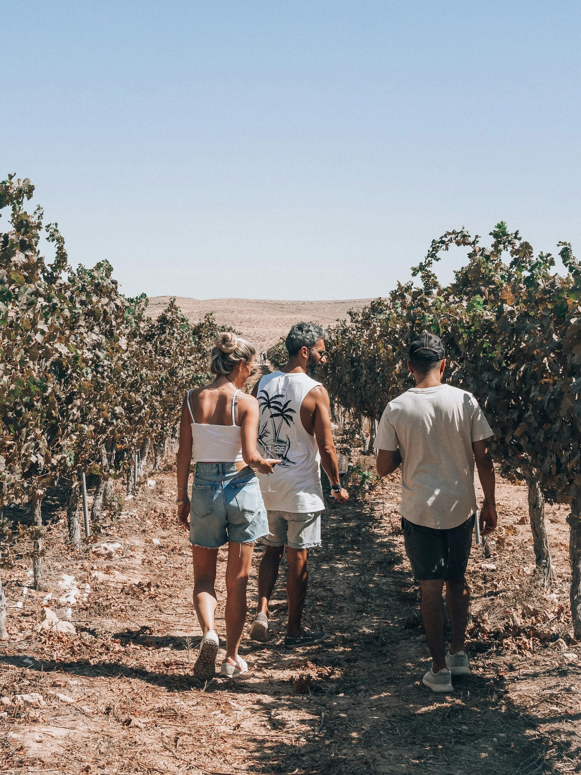 The European wine regions I'd visit before the famous ones