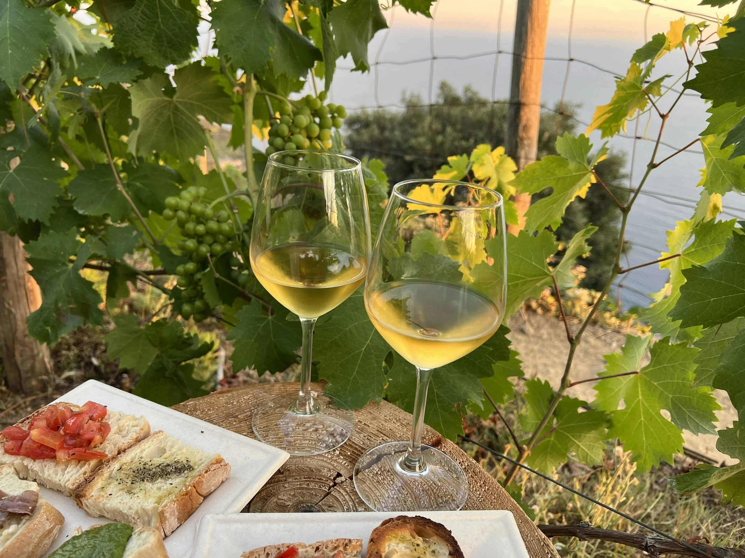 The kind of picnic that makes Provence hard to leave