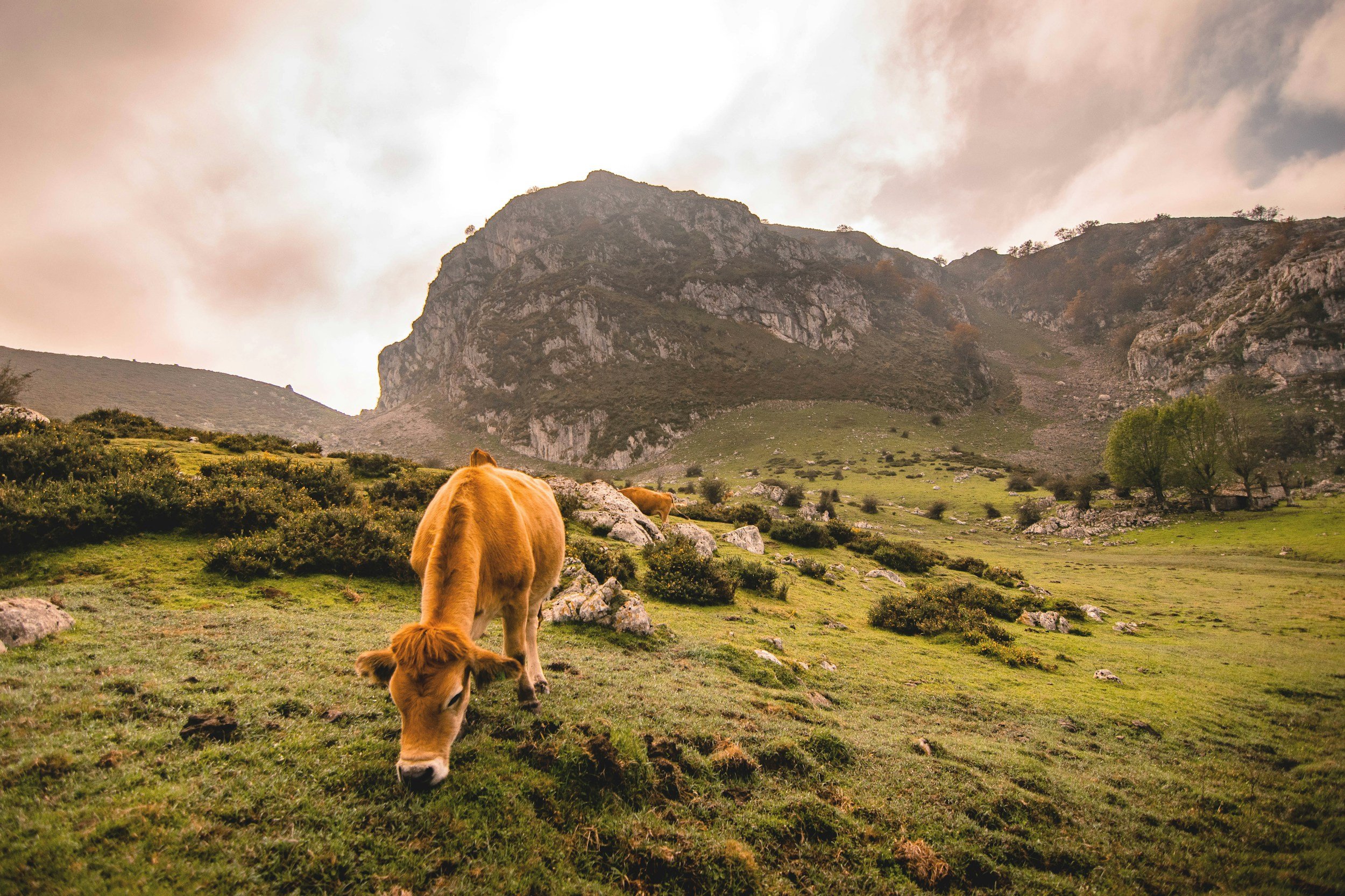The Asturias towns I’d actually stay in (if I didn’t feel like driving)