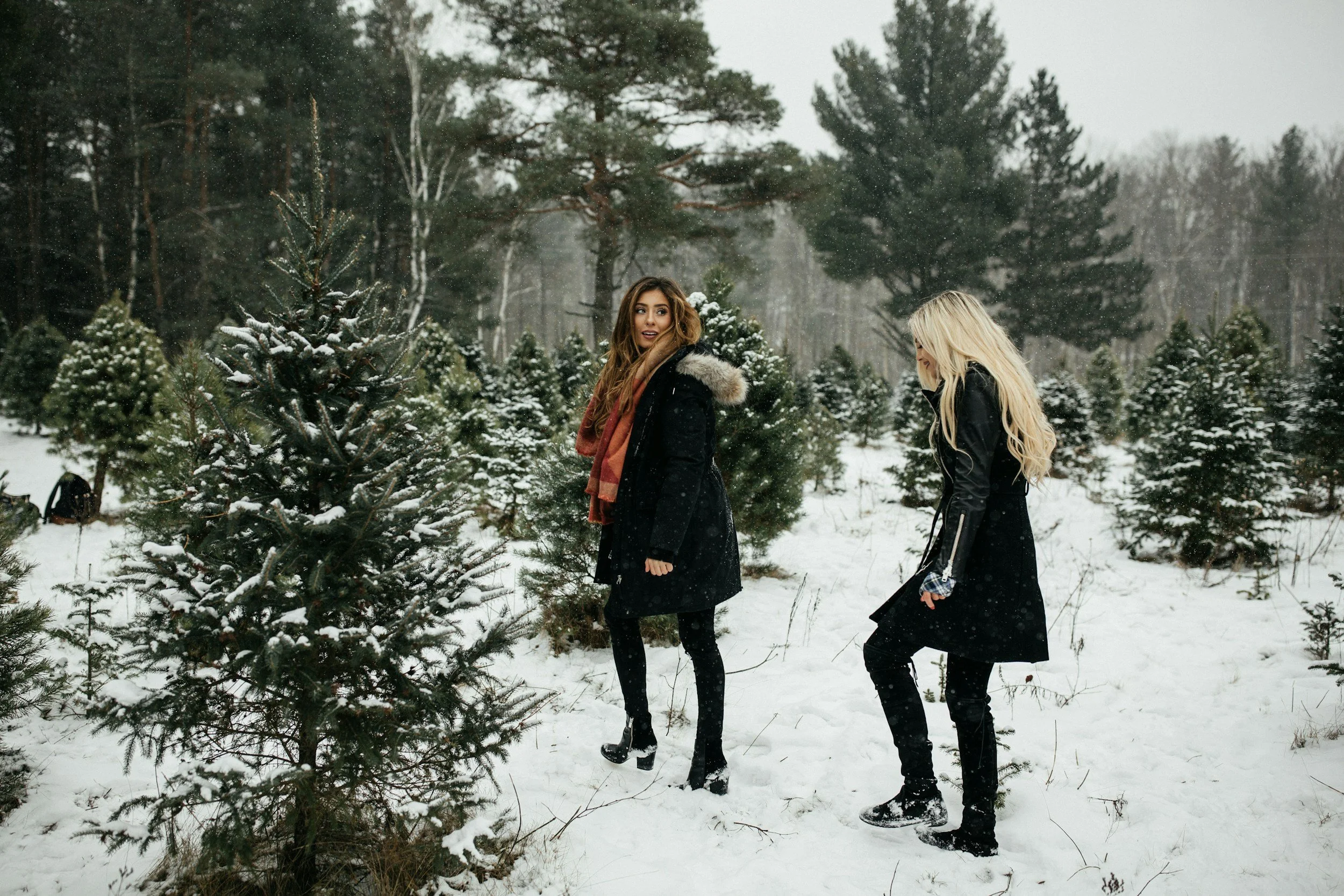 How I'd spend a winter week between the Bavarian and Bohemian forests