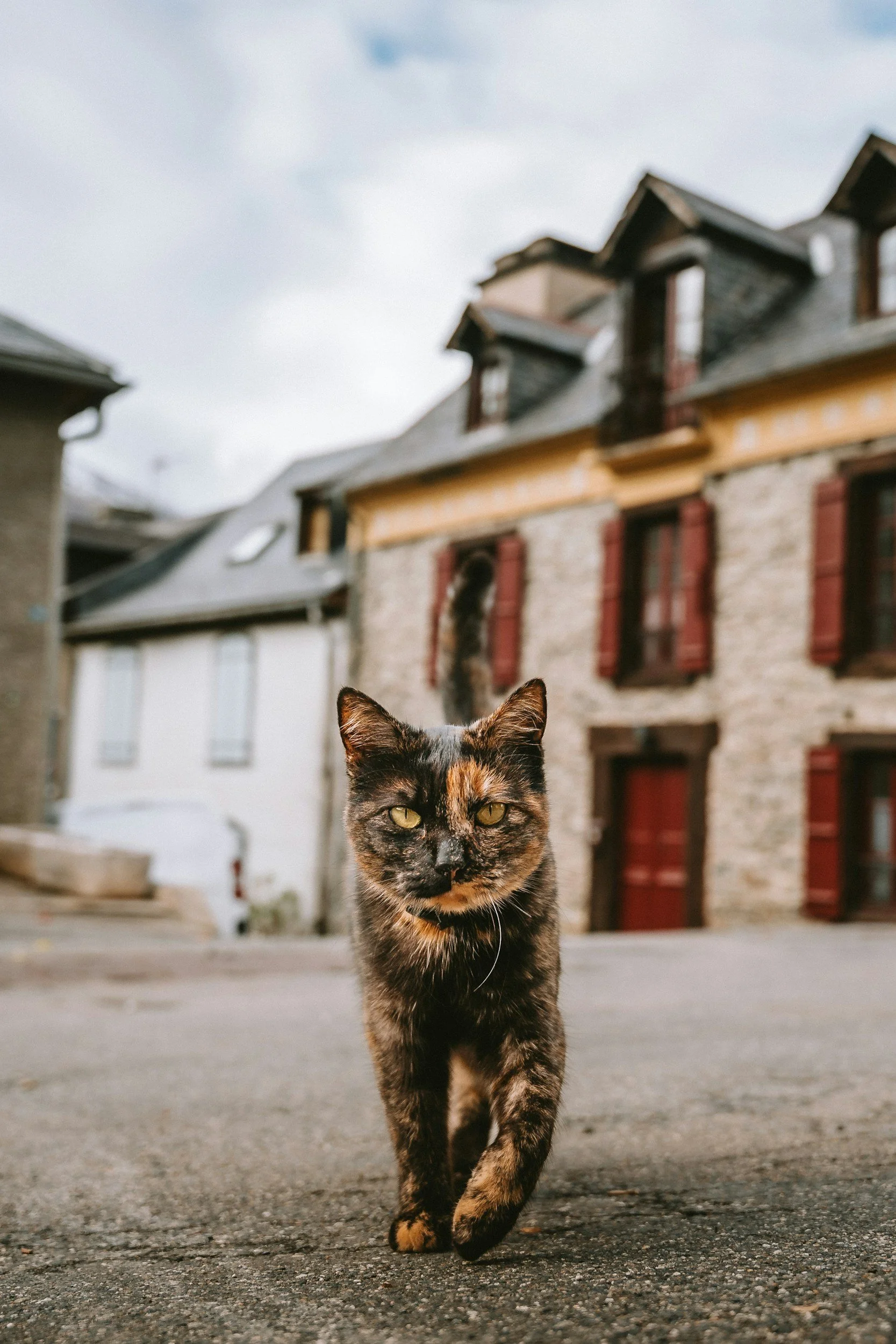 These parts of rural France never feel like they're waiting for tourists
