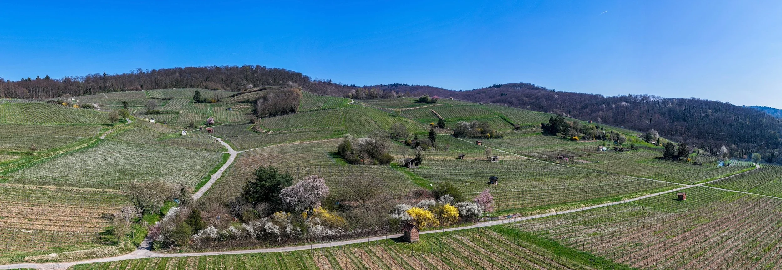 The vineyard walks I'd happily build a weekend around