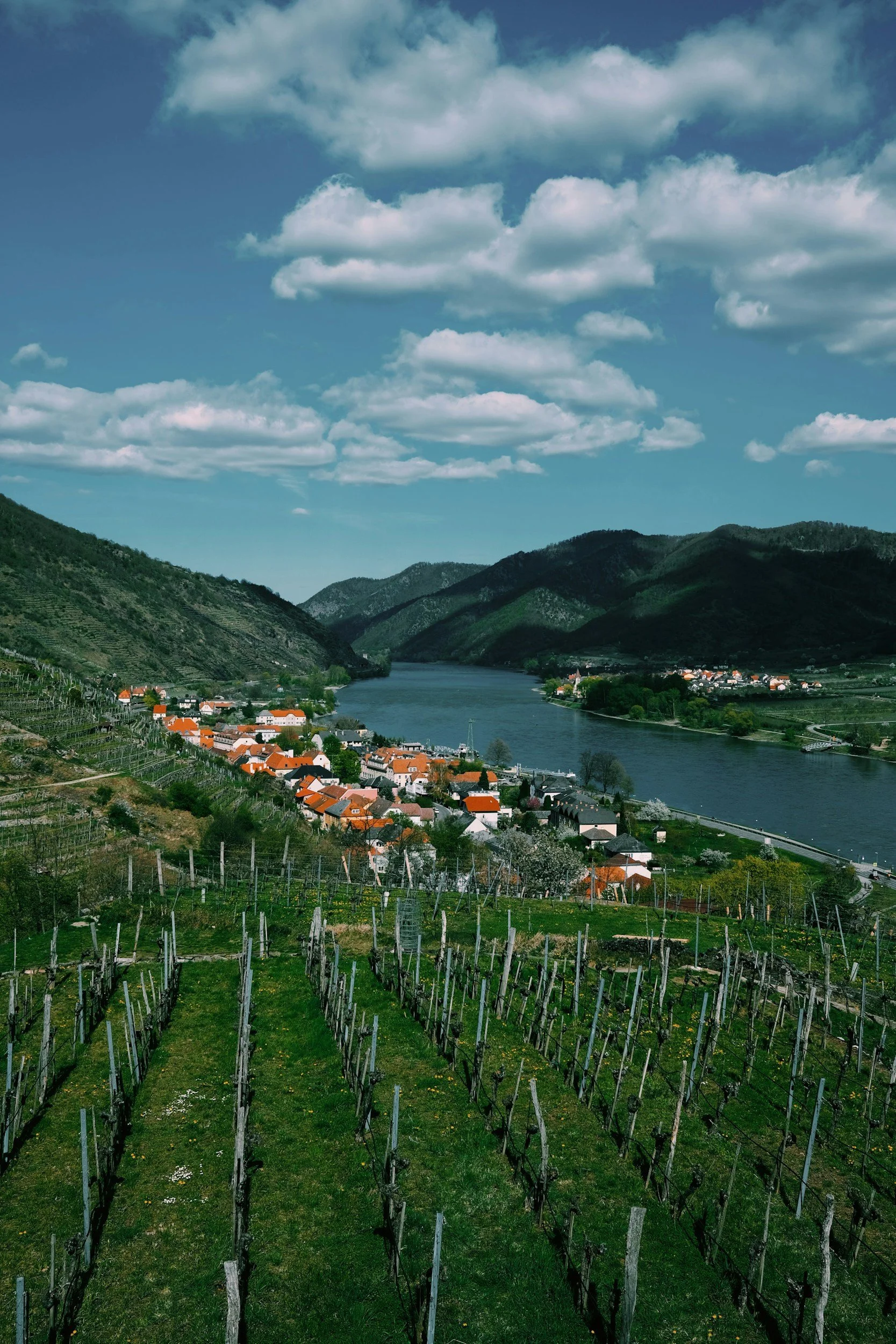 The Austrian wine region I'd recommend before Tuscany