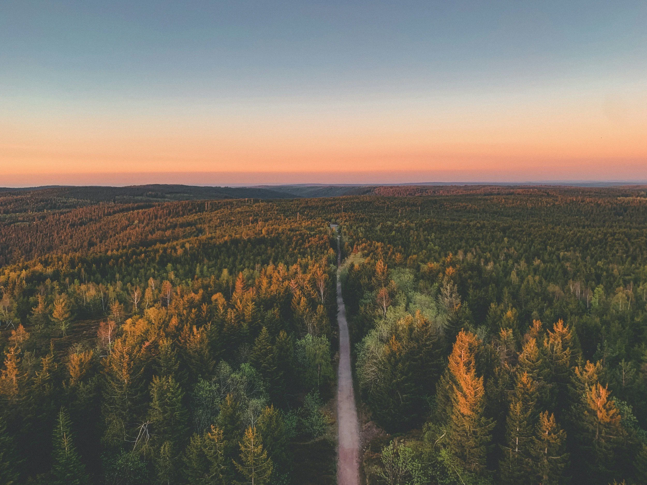 If you're choosing one Black Forest base, I'd make it Baden-Baden
