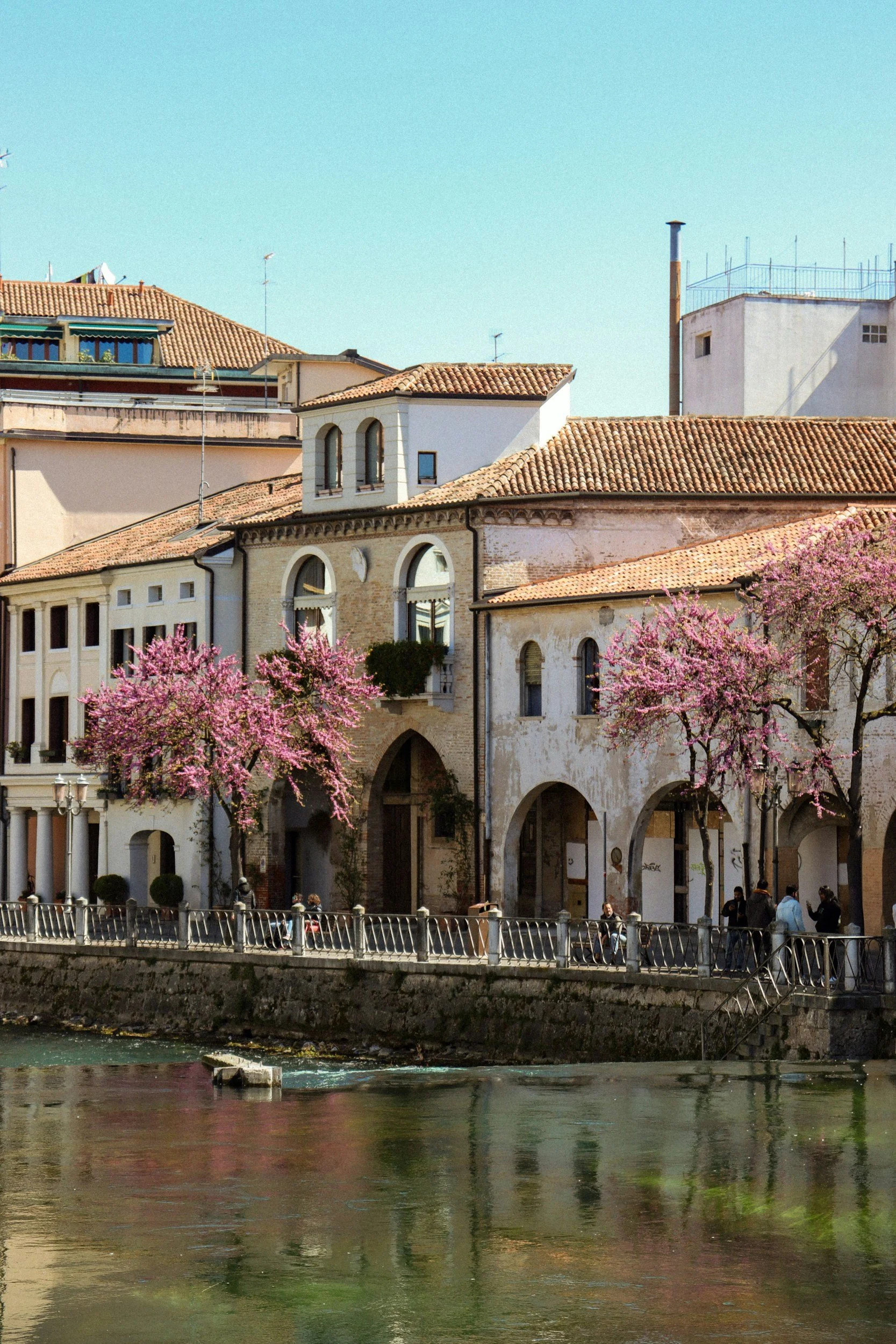 treviso