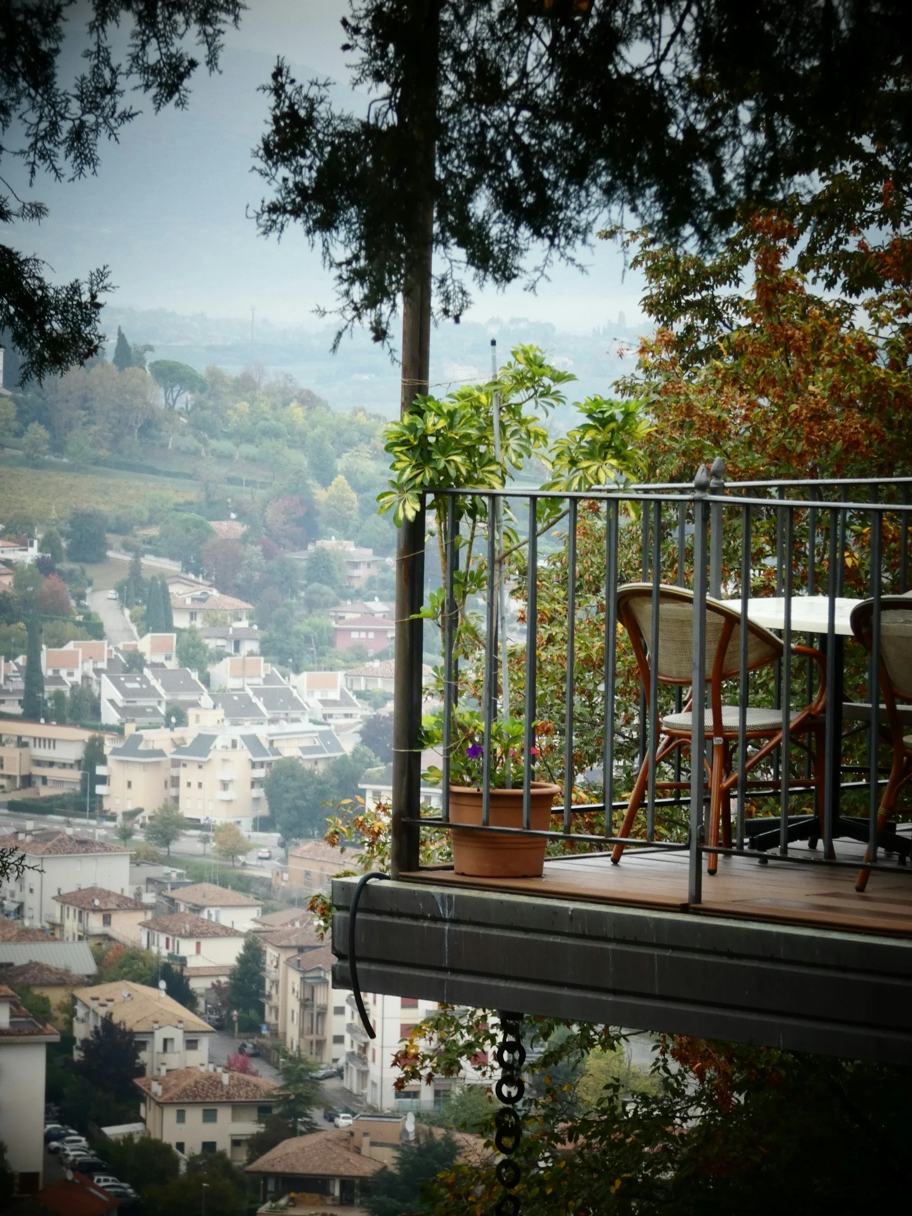 Conegliano
