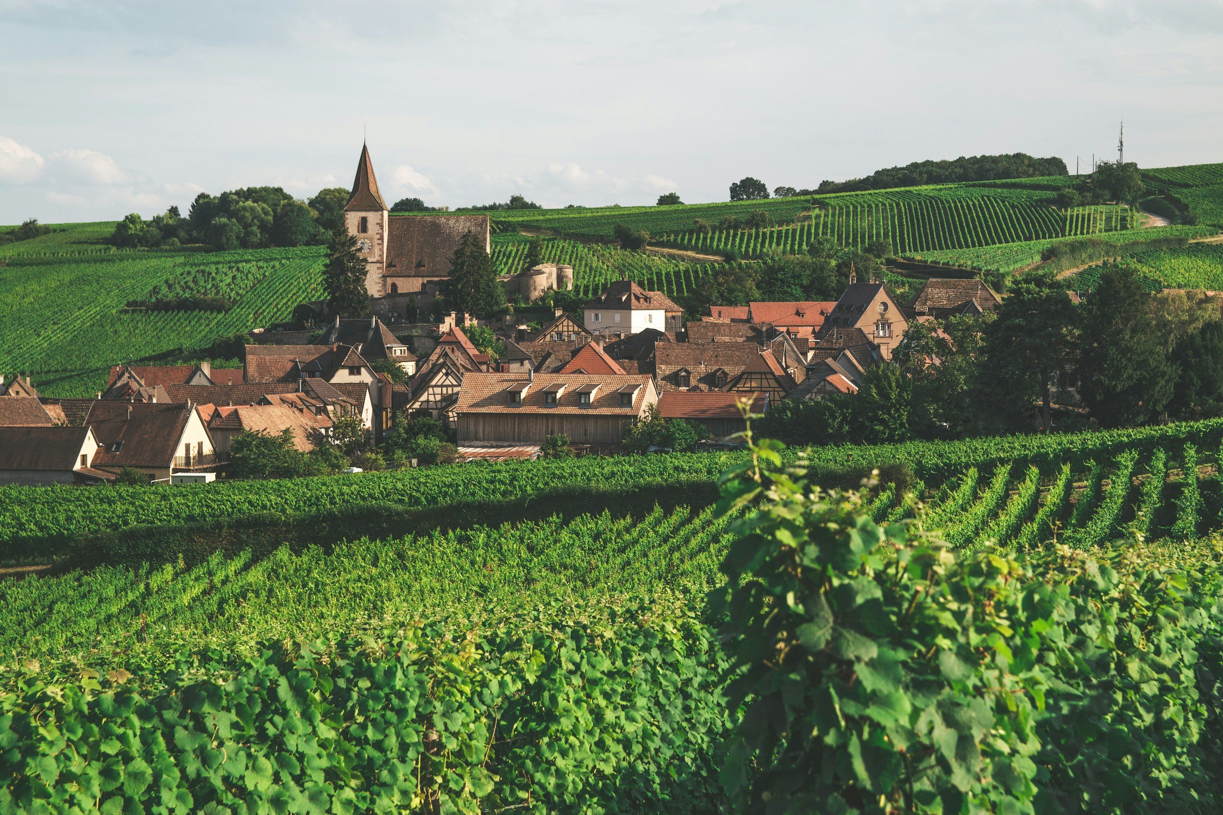 Alsace