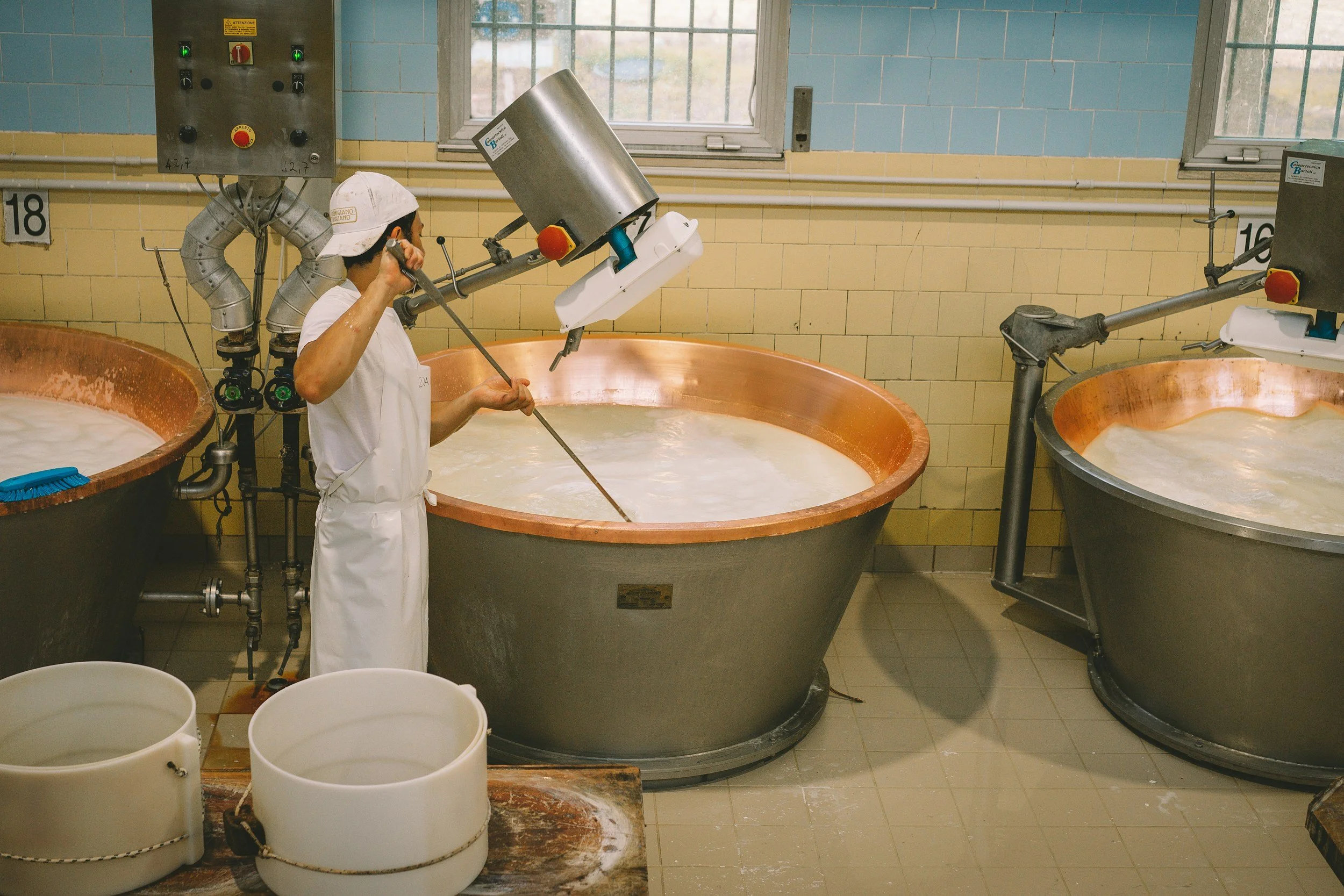 Is a Parmigiano Reggiano tour from Bologna worth your day?