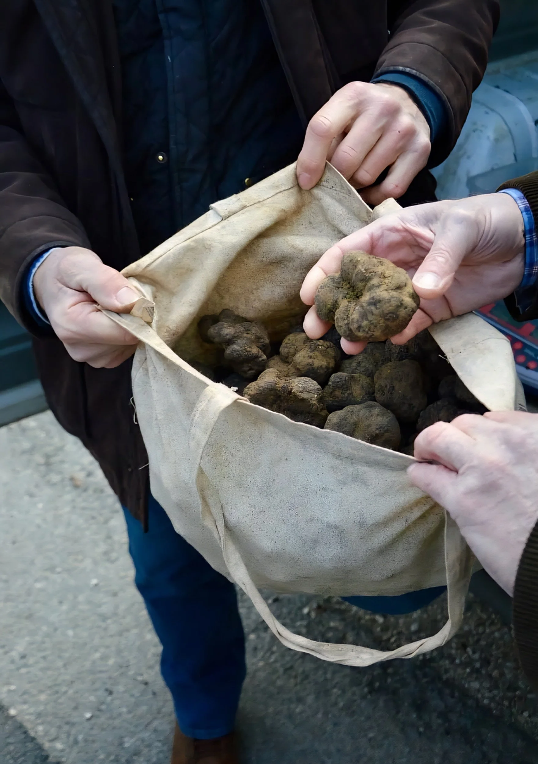 Bag of French truffle.jpg