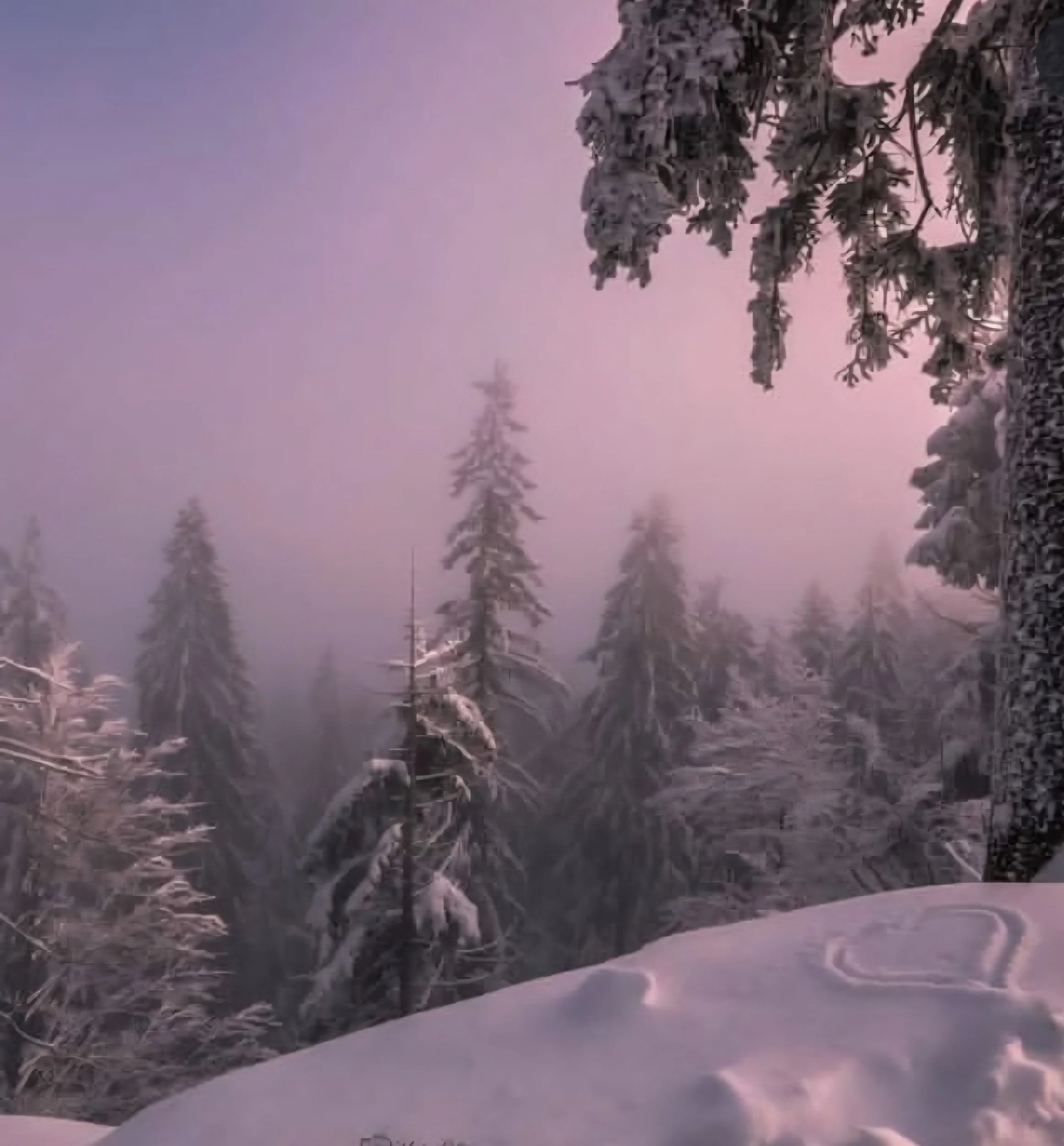 Love the views in bavaria forest