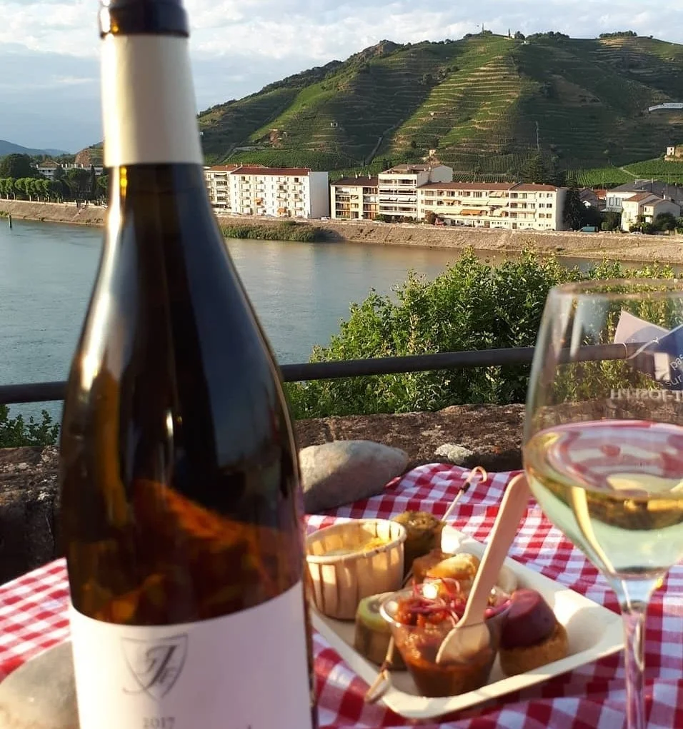 wine in Tournon-sur-Rhône