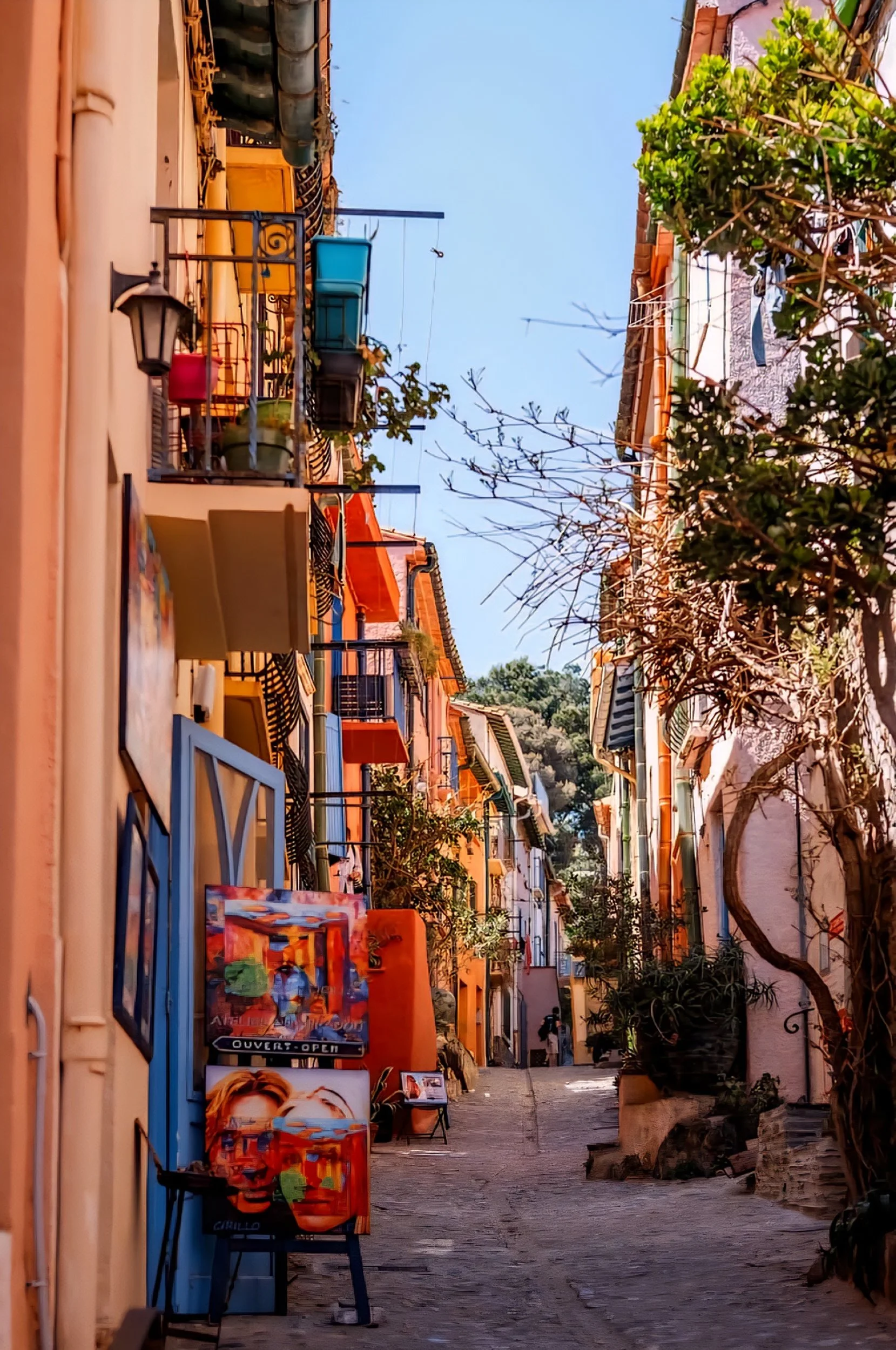 Collioure street shops.jpg