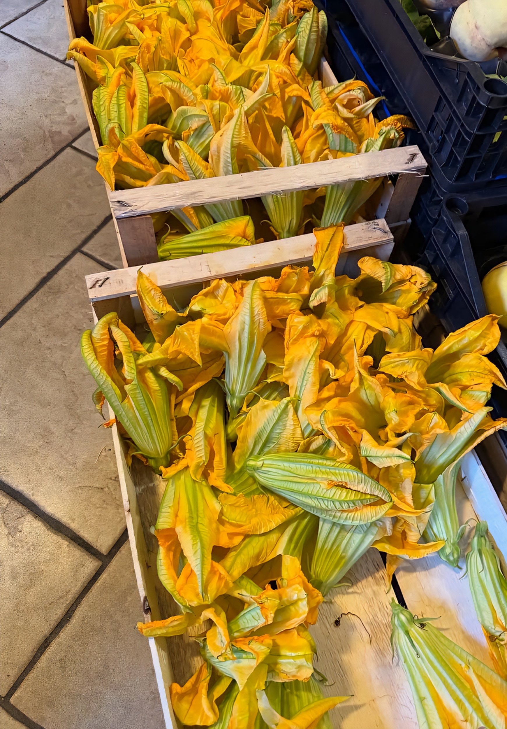 ITALY MARKET ZUCCINI FLOWERS.jpg