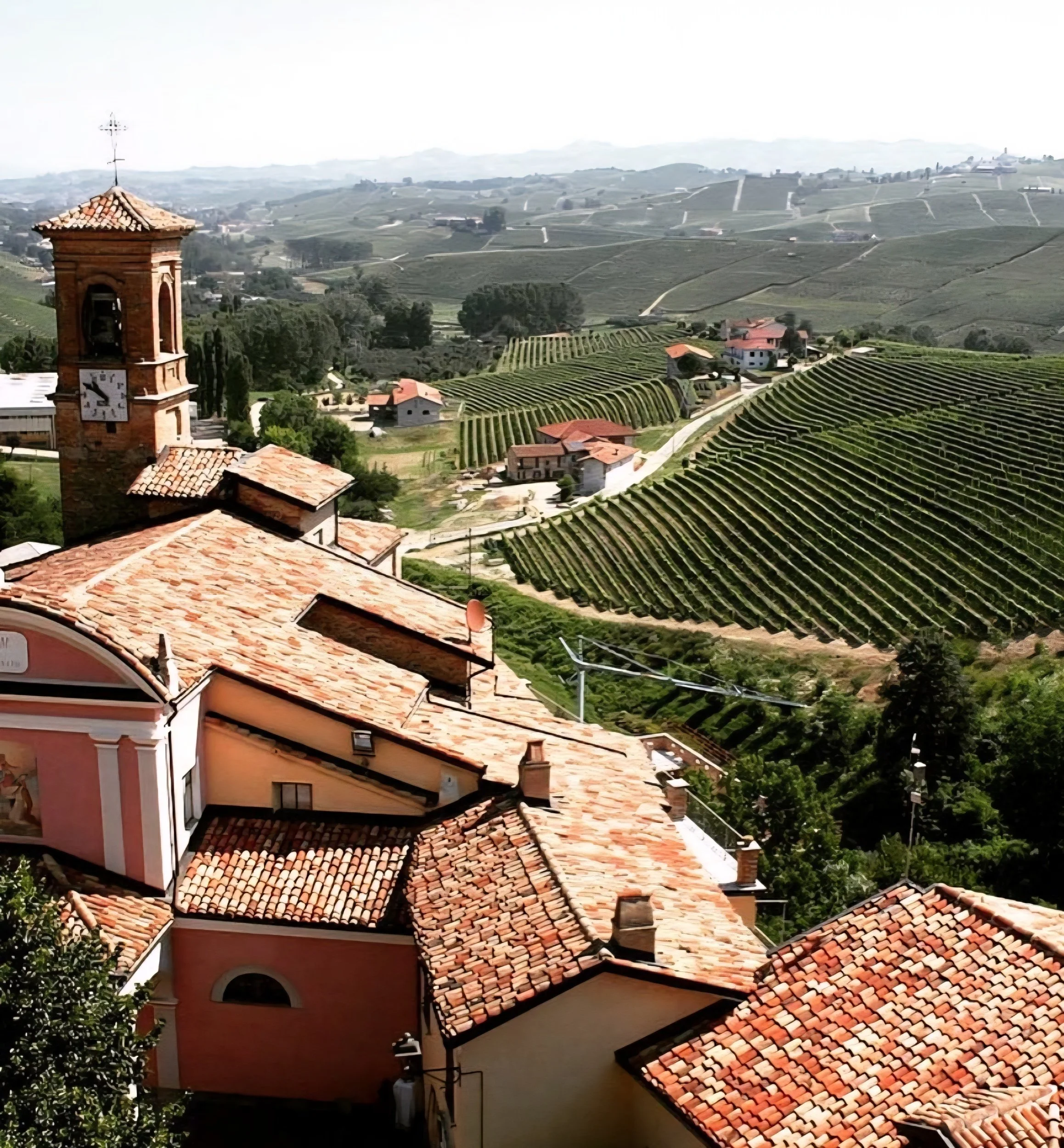 Italy view over vineyard .jpg