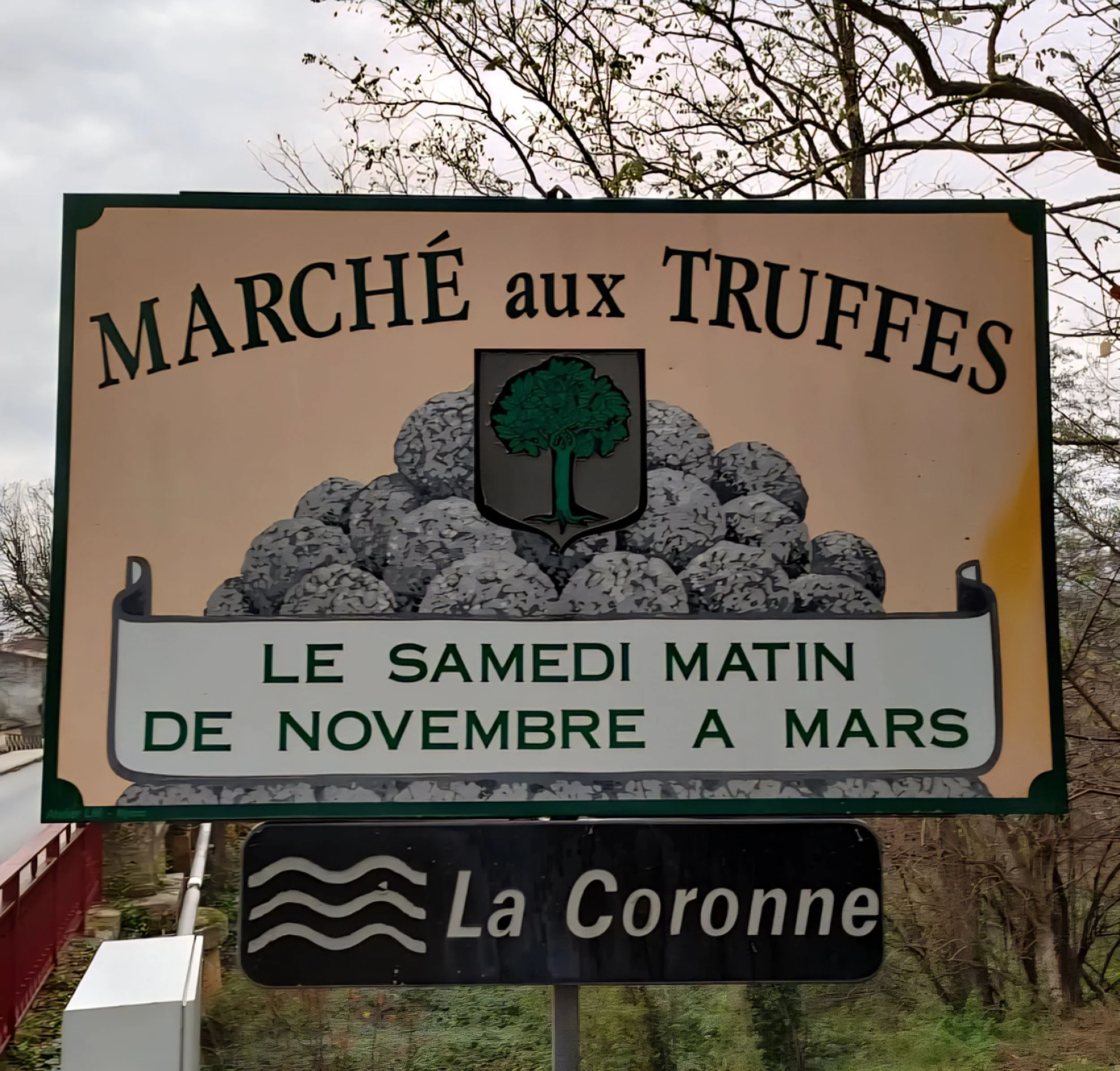 Richerenches Truffle Market: How to Visit on a Winter Saturday