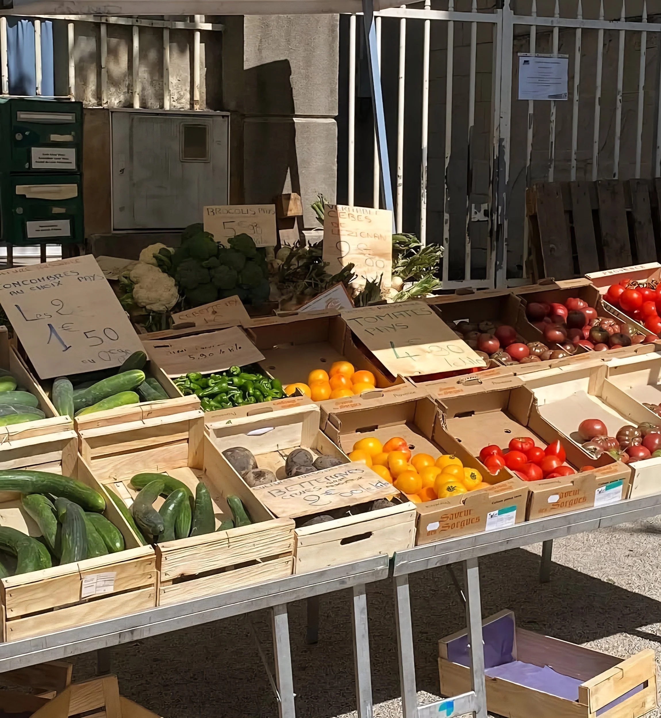 market in Lodève:
