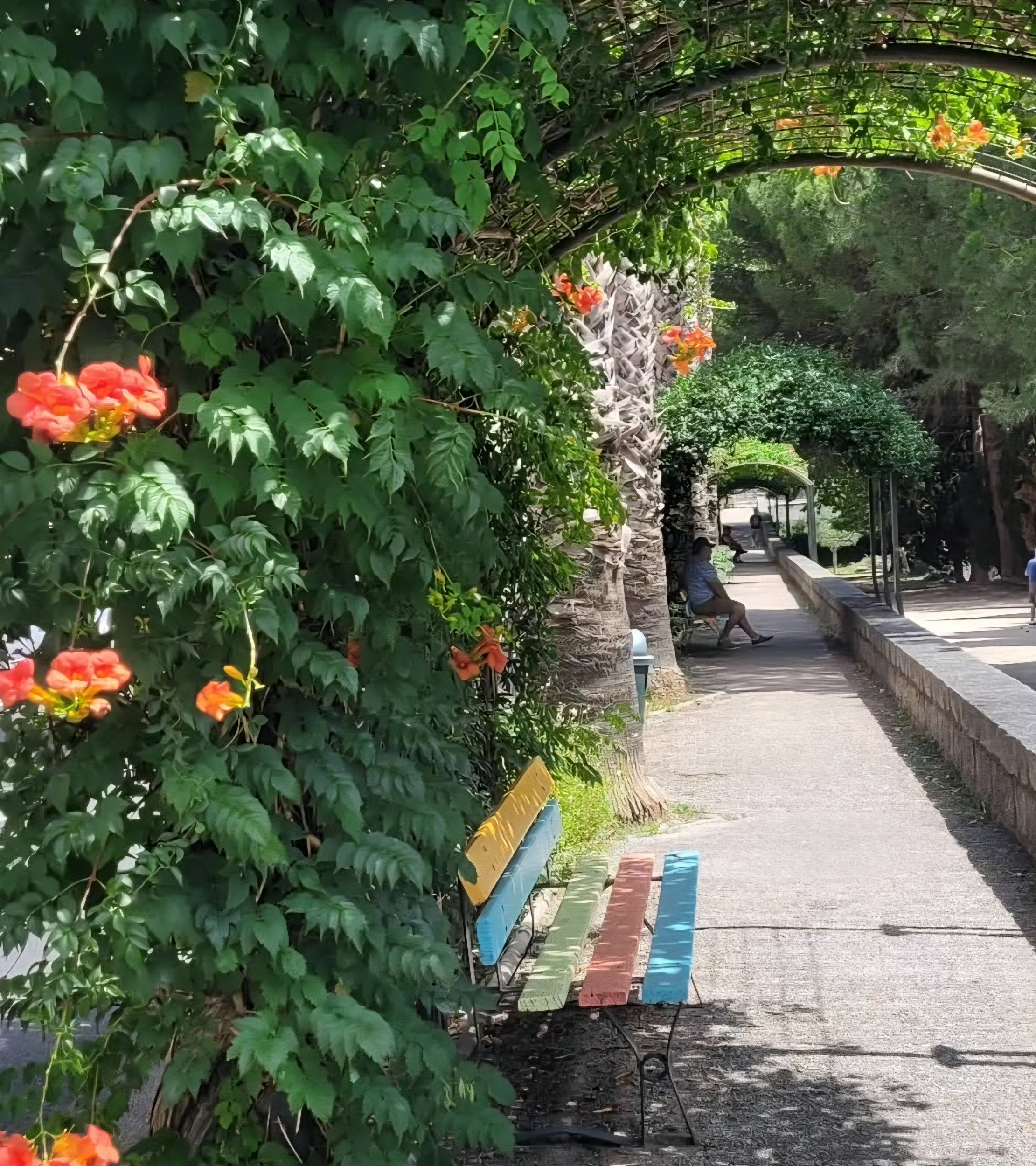 bench in Amélie-les-Bains