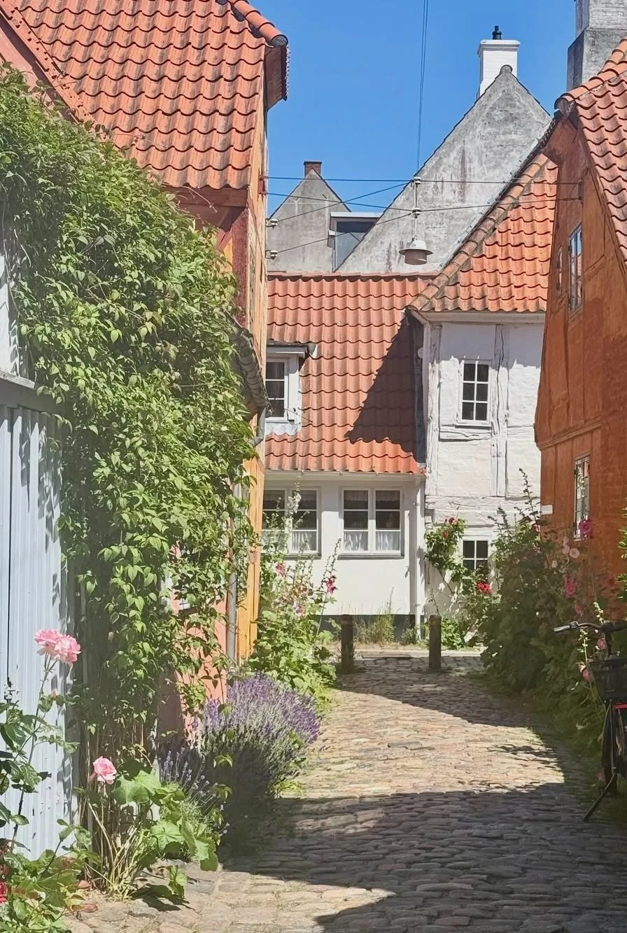 architecture in Helsingør