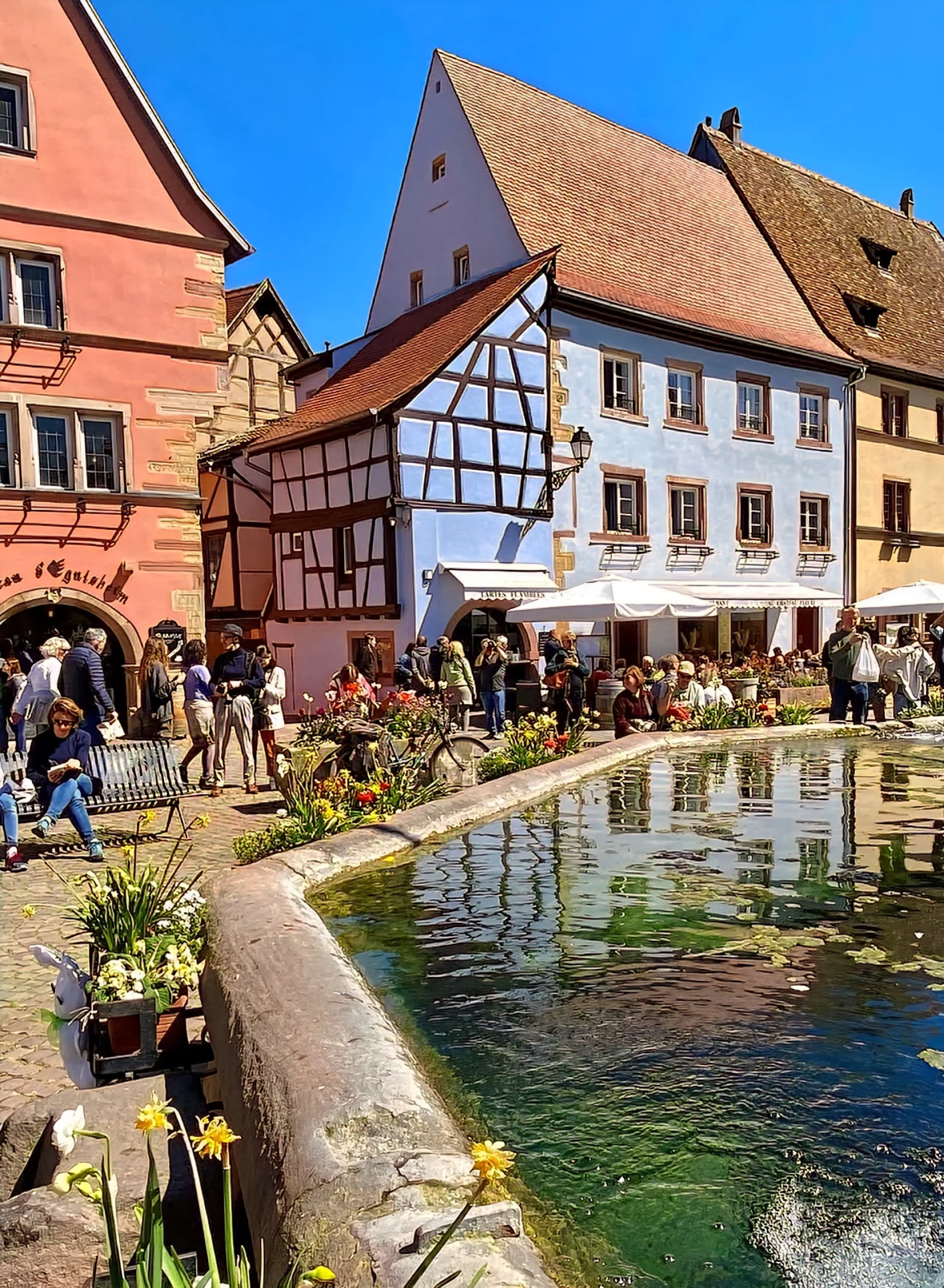 Eguisheim by water.jpg
