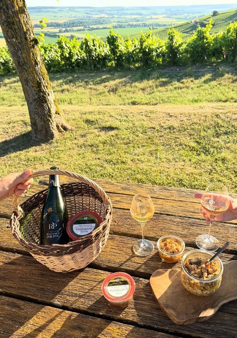 picnic in Verzenay
