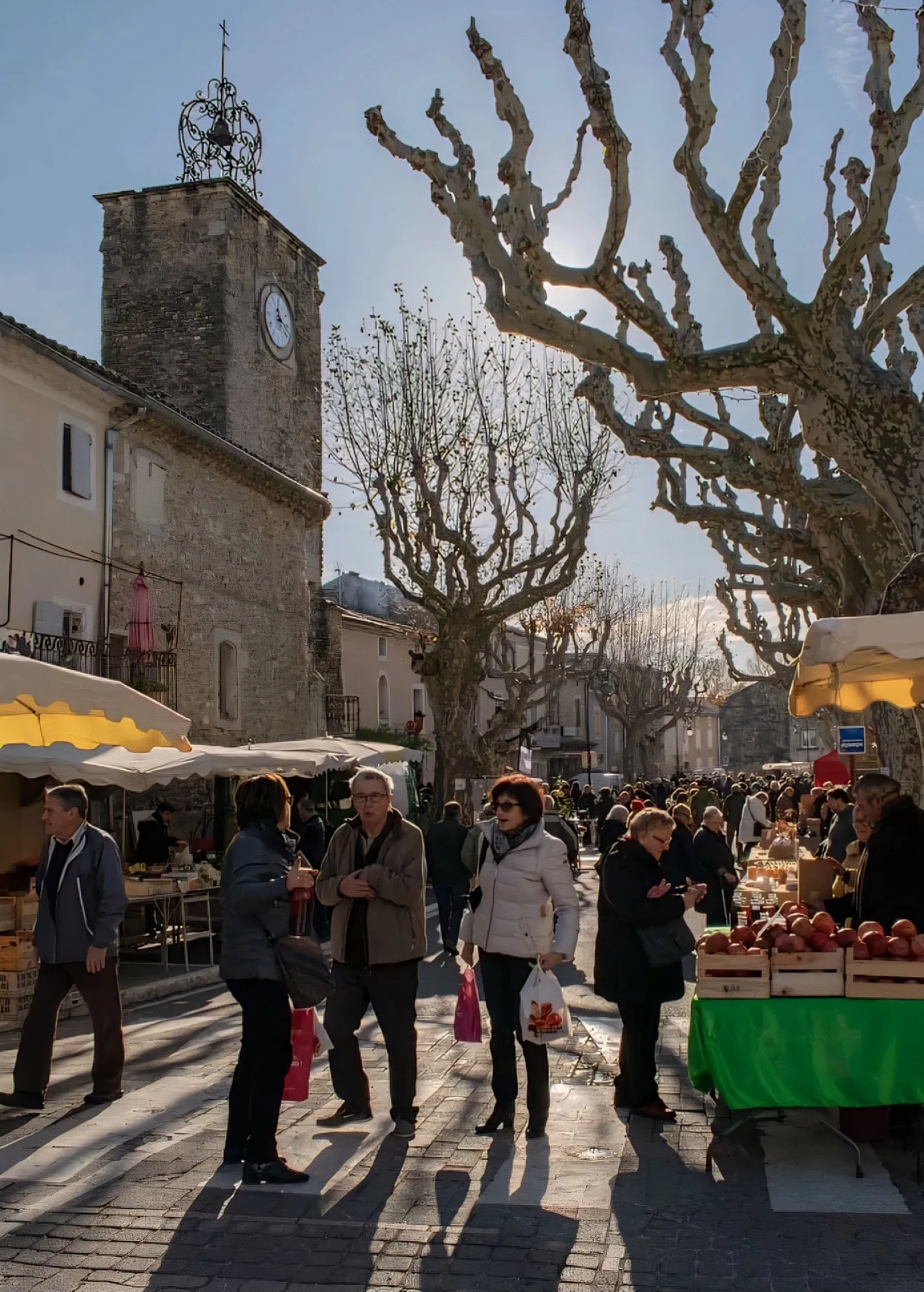 truffle market in france