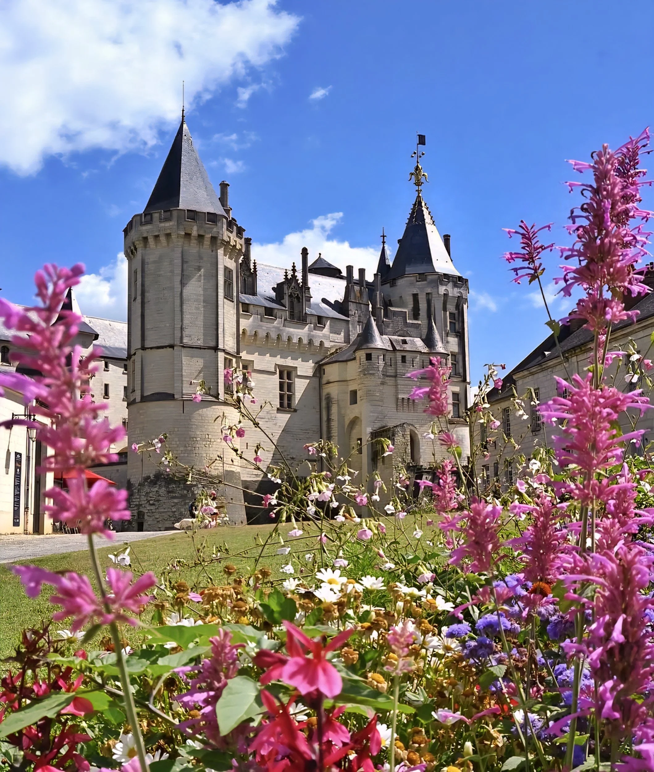 flowers loire valley