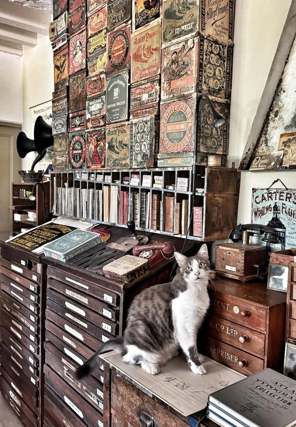 flea market in Uzès